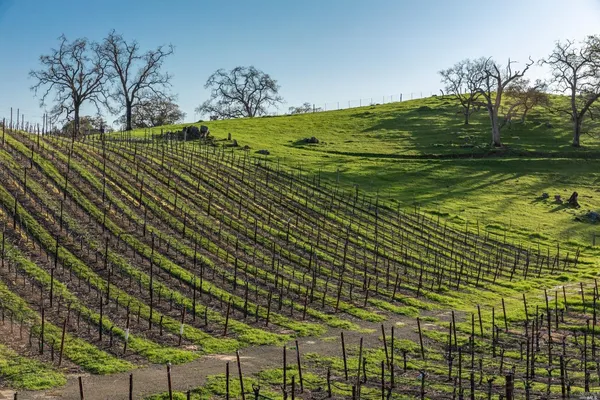 $7,900,000 | 5285 Westside Road, Healdsburg, CA 95448