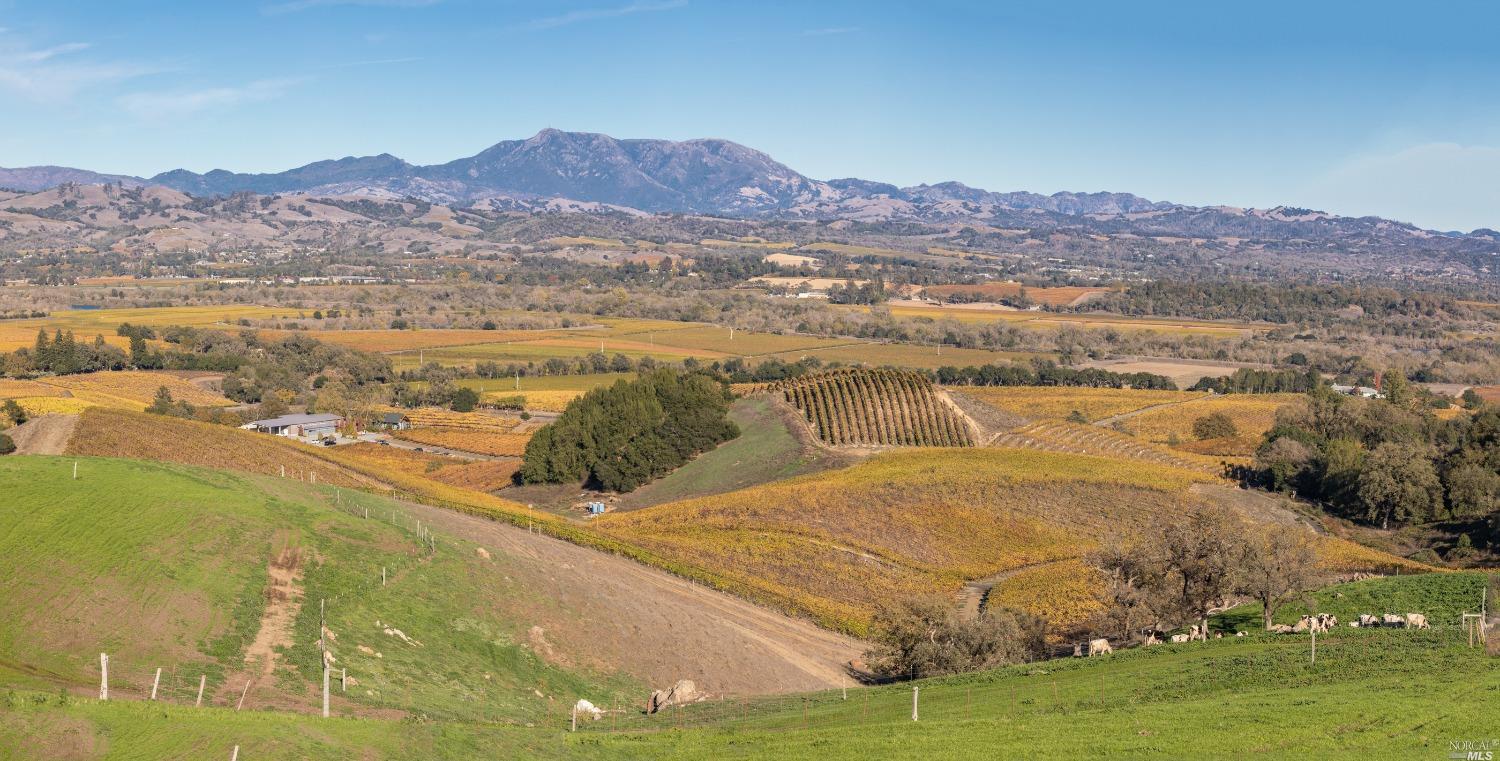 5285 Westside Road Healdsburg, CA 95448 - Photo 26 of 58