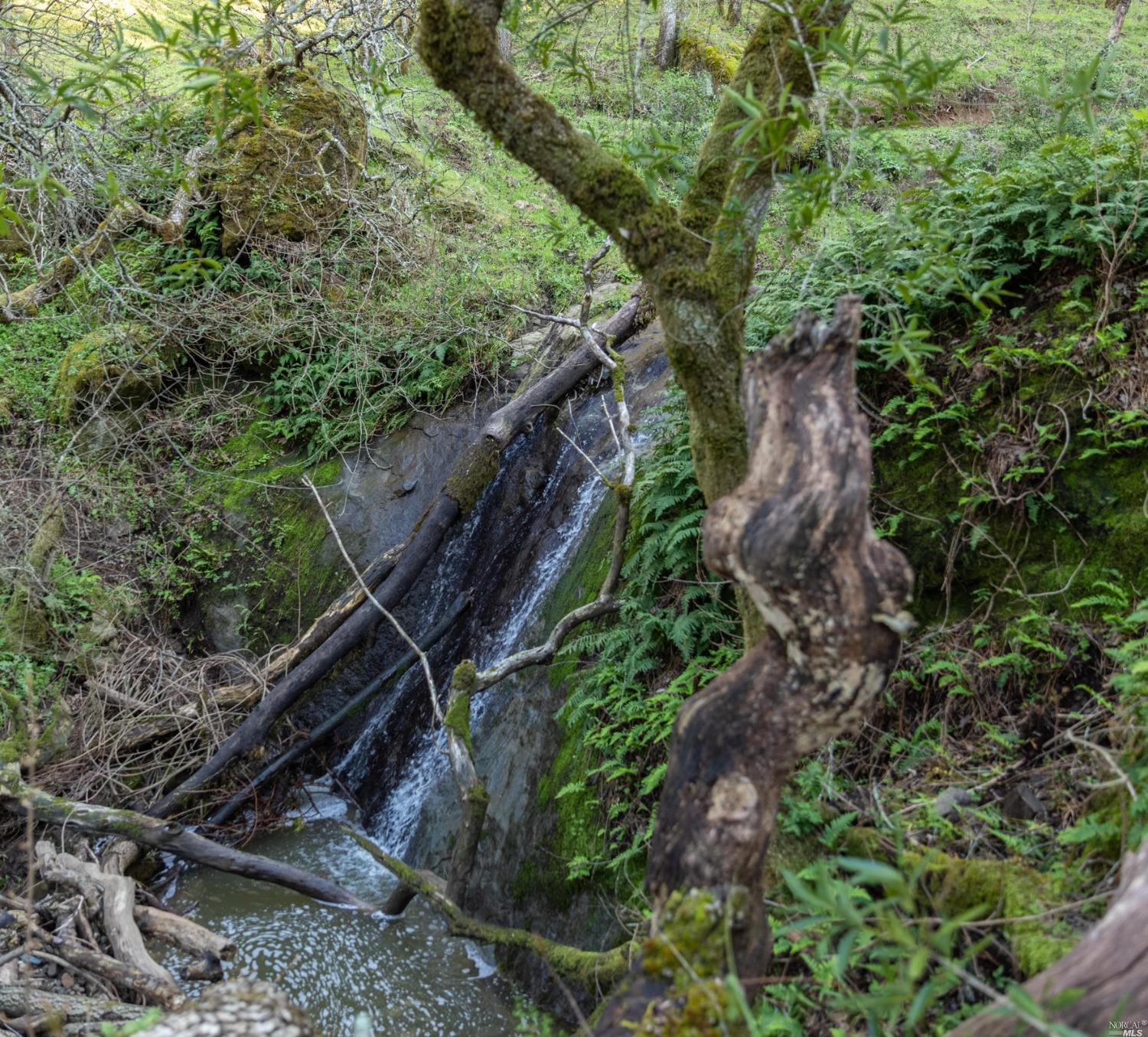 5285 Westside Road Healdsburg, CA 95448 - Photo 46 of 58