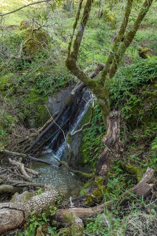 $7,900,000 | 5285 Westside Road, Healdsburg, CA 95448