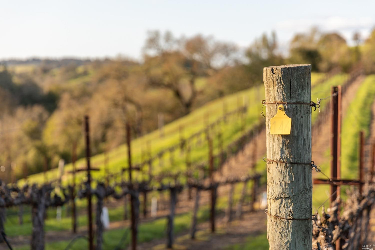 5285 Westside Road Healdsburg, CA 95448 - Photo 49 of 58