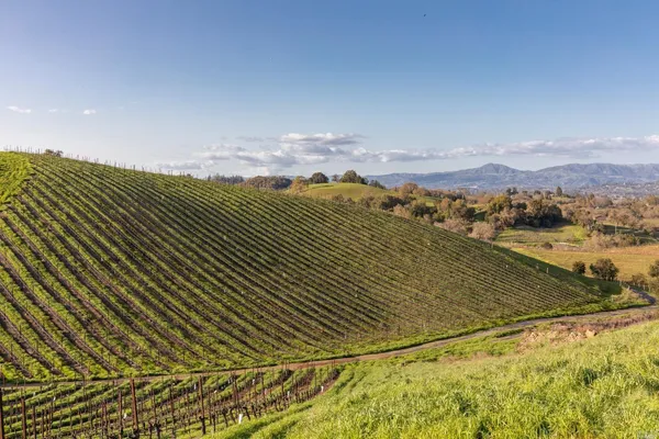 $7,900,000 | 5285 Westside Road, Healdsburg, CA 95448