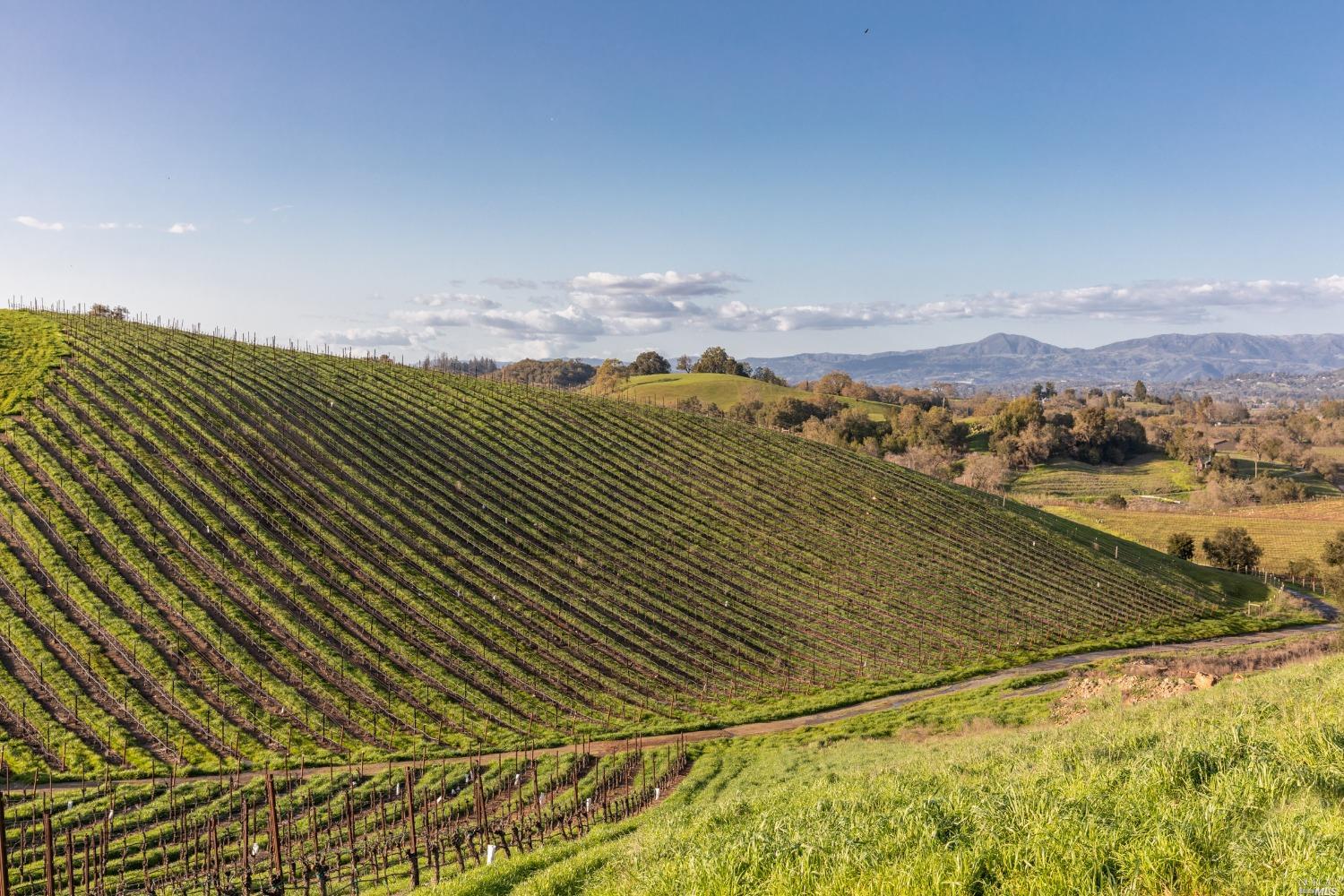 5285 Westside Road Healdsburg, CA 95448 - Photo 50 of 58