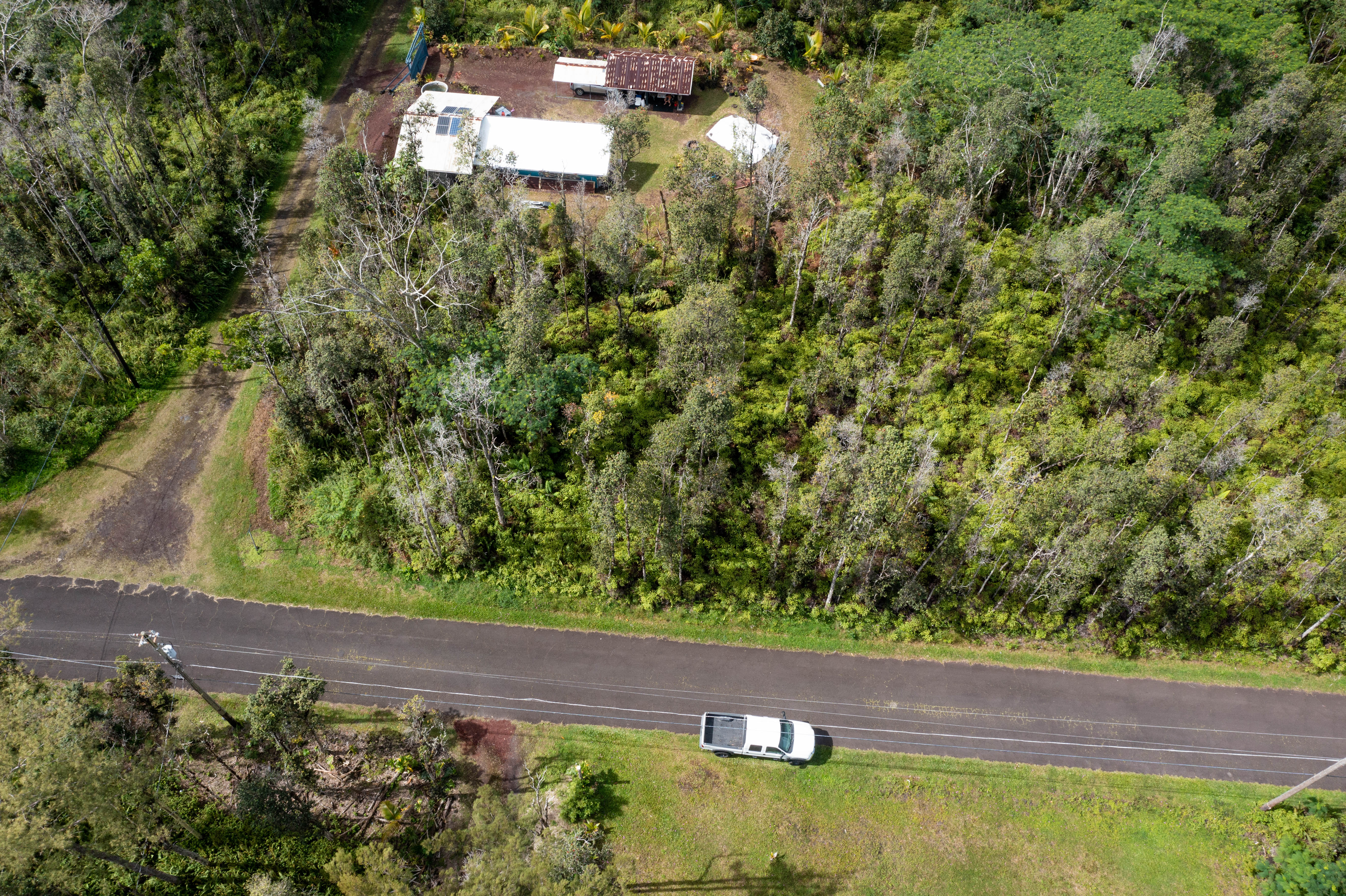 44 Seaview Road Pahoa, HI 96778 - Photo 19 of 22 a view of a yard with plants