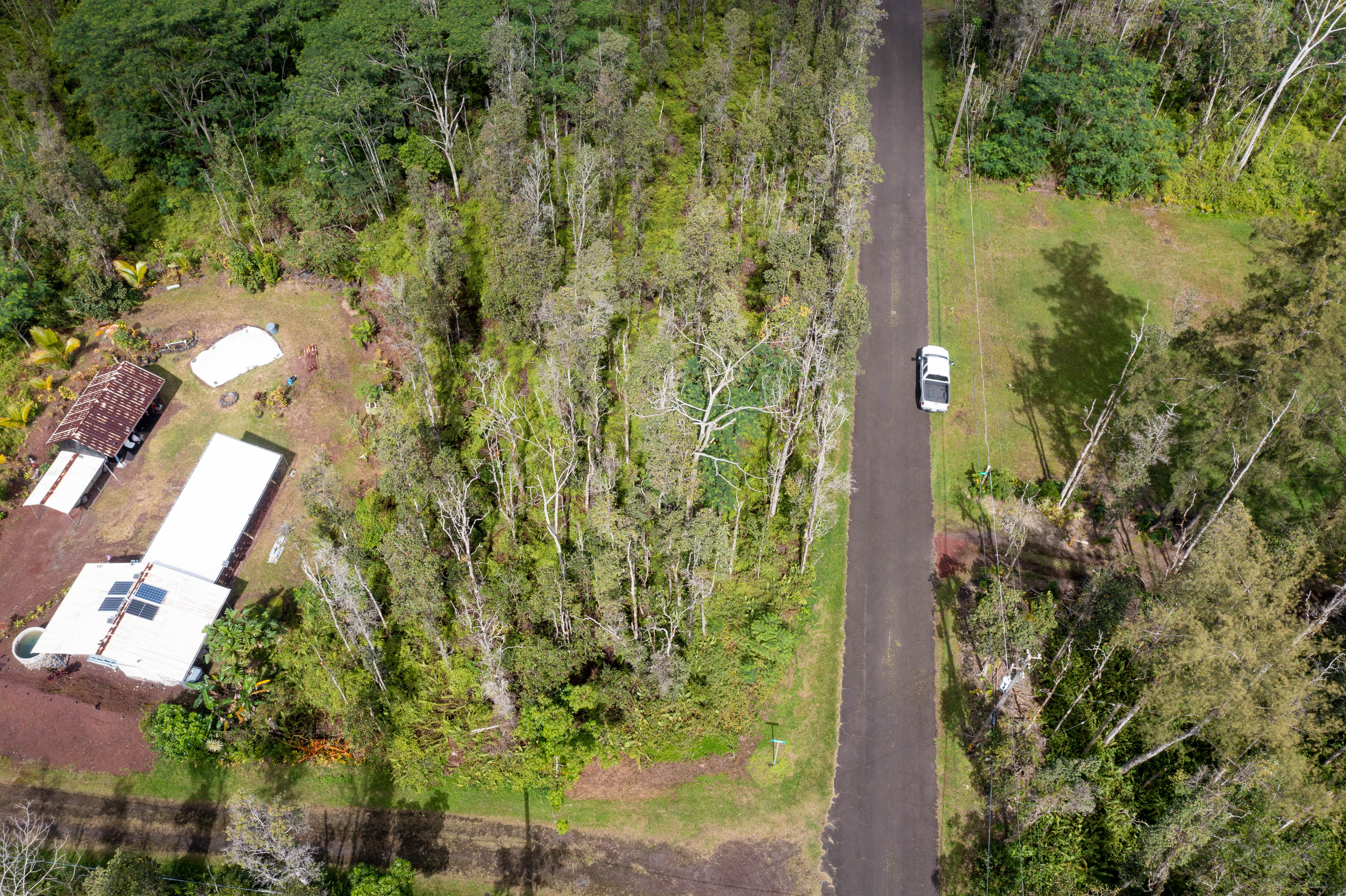 44 Seaview Road Pahoa, HI 96778 - Photo 22 of 22 a view of a garden with plants