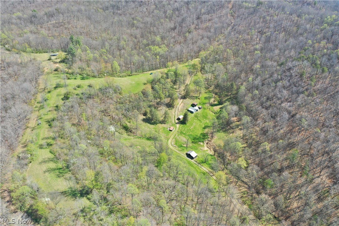 6670 Lower Run Road Normantown, WV 25267 - Photo 5 of 46