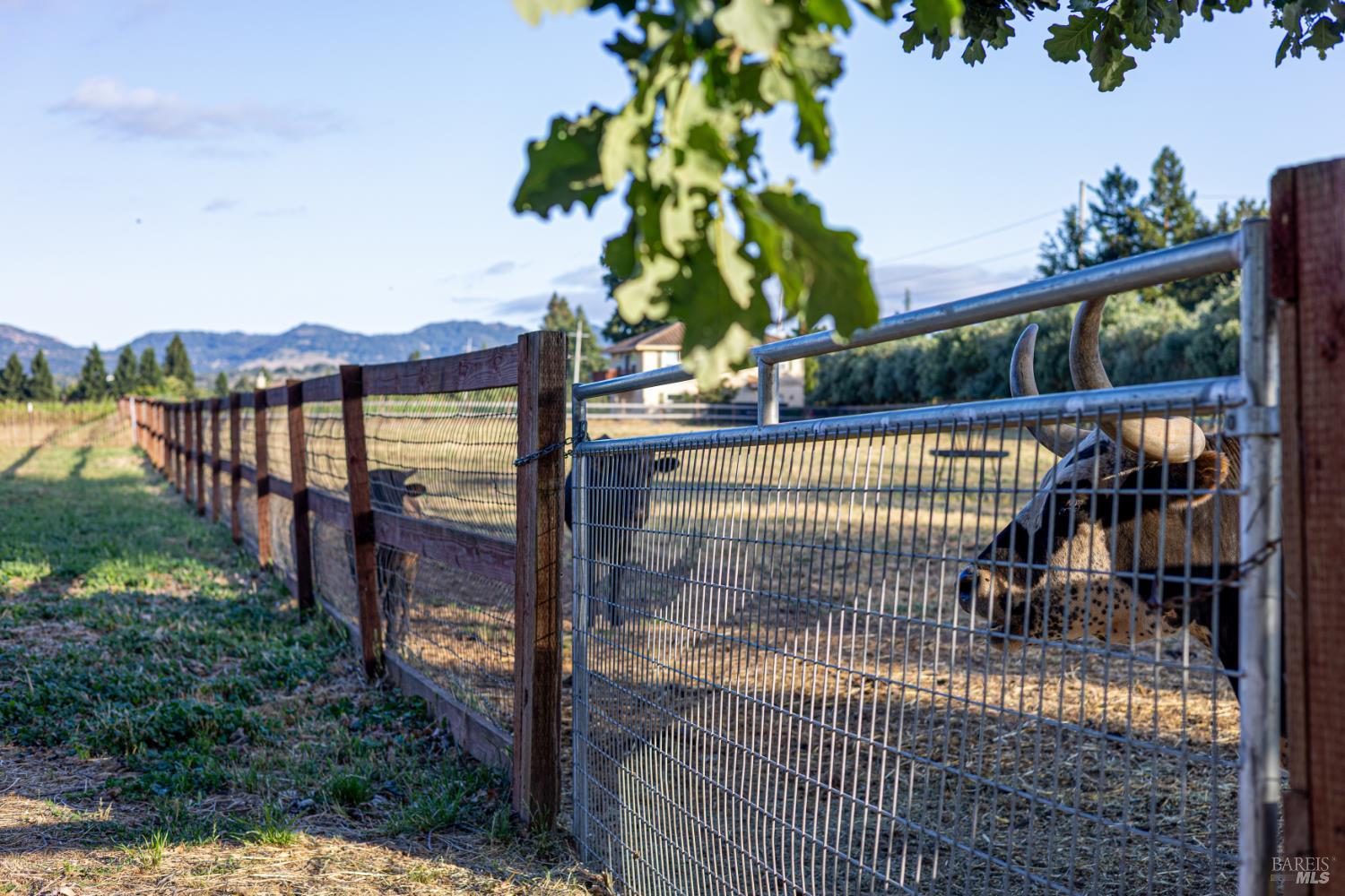 1793 Monticello Road Napa, CA 94558 - Photo 18 of 20