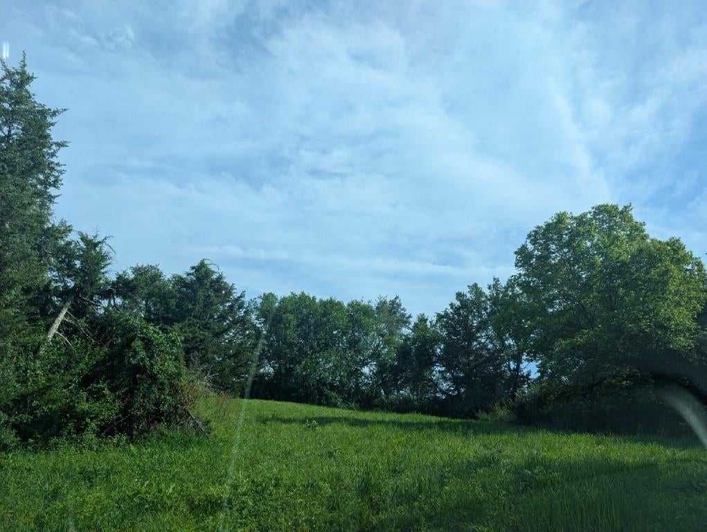 Lot 1 Timber View Ridge Solon, IA 52333 - Photo 9 of 13 Gallery Image 9
