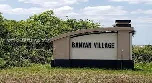 a view of a bunch of flower in a yard