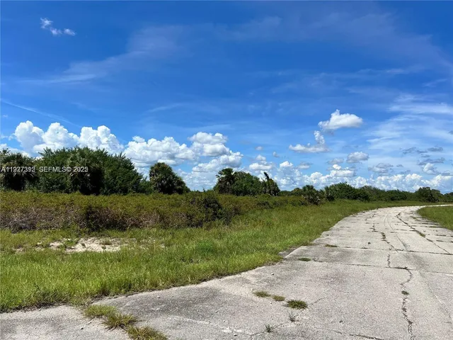 a view of a big yard