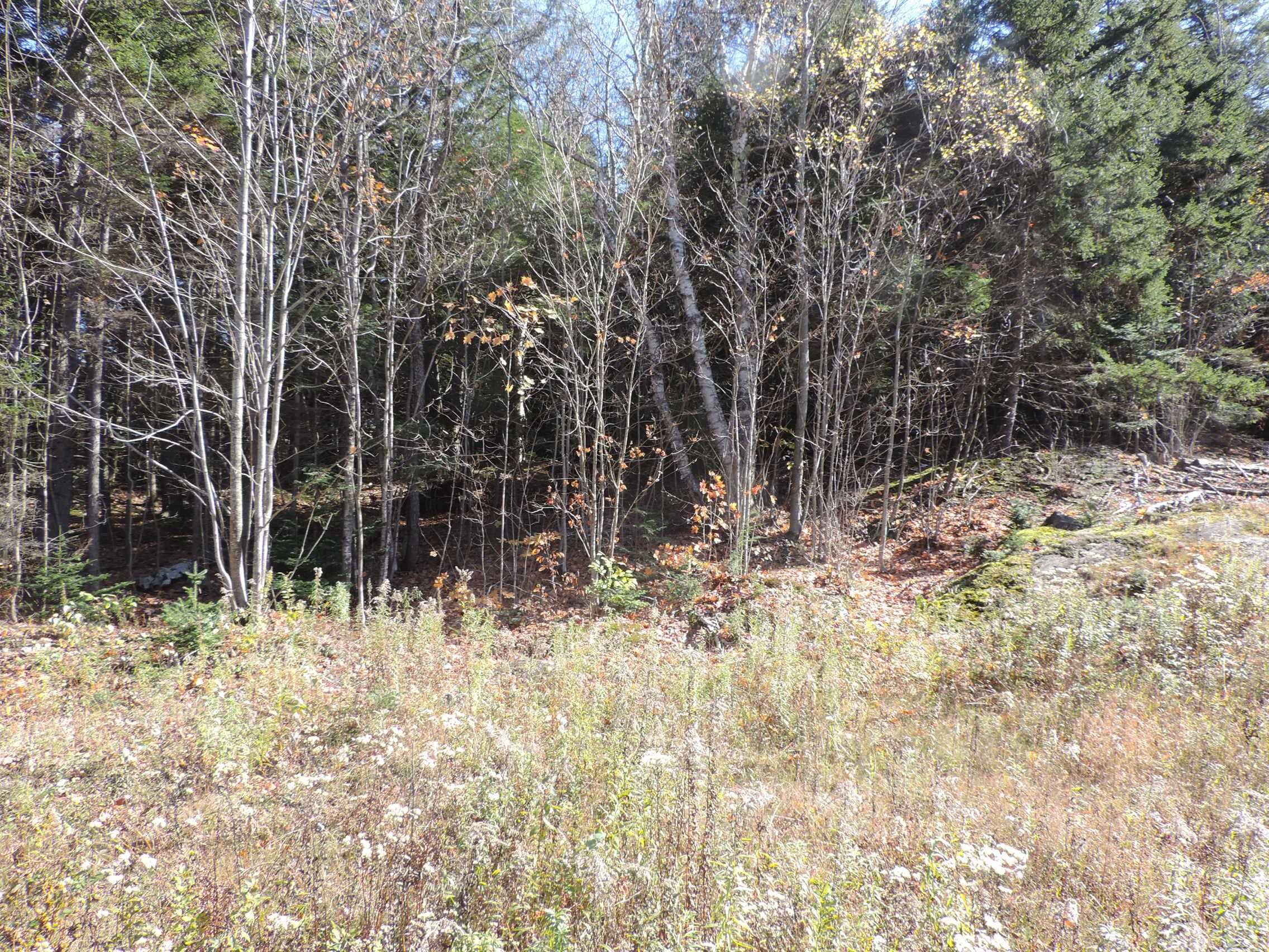 0 Cross Road, Unit 9 Jay, VT 05859 - Photo 1 of 7 Gallery Image 1