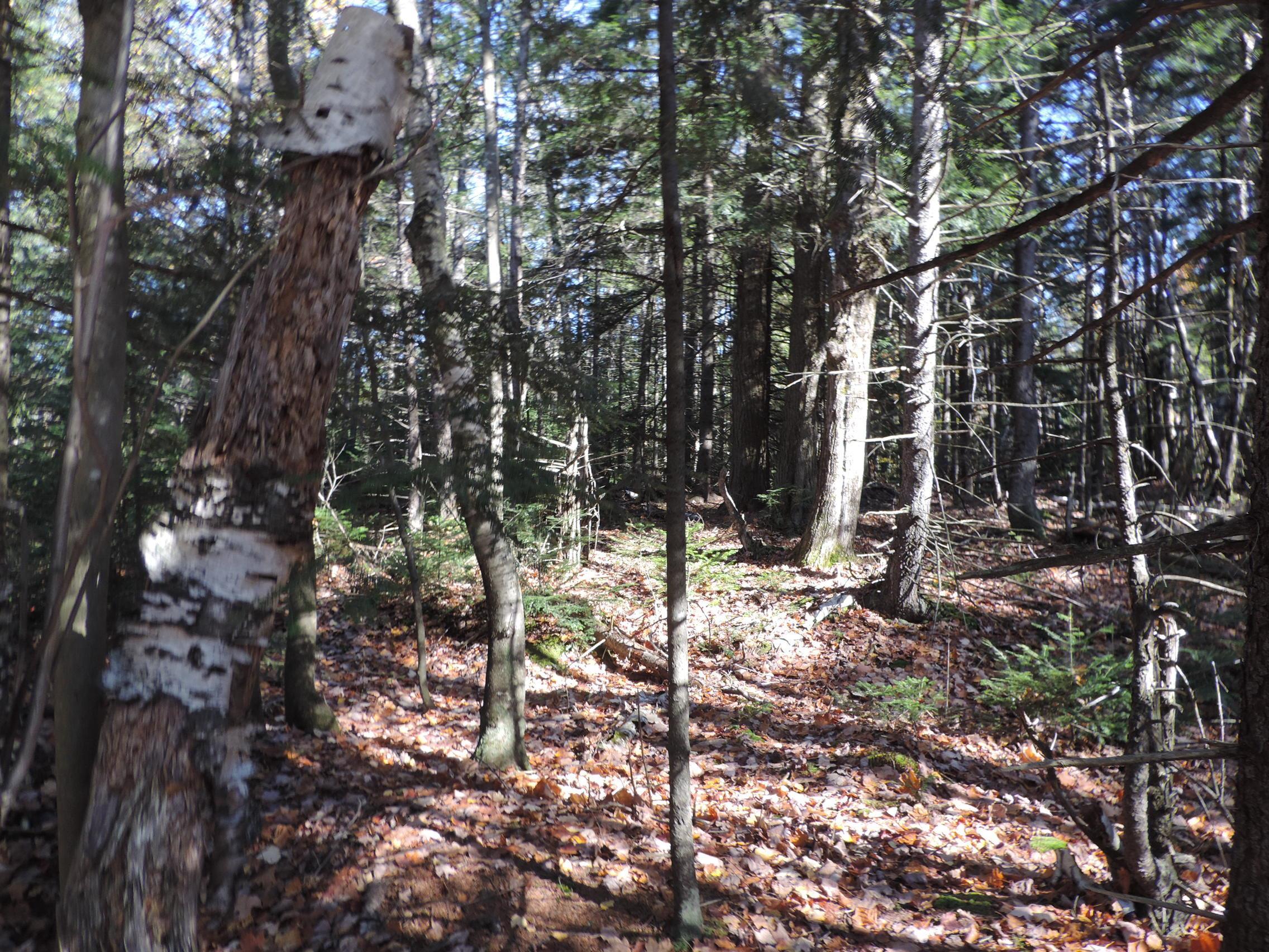 0 Cross Road, Unit 9 Jay, VT 05859 - Photo 4 of 7 Gallery Image 4