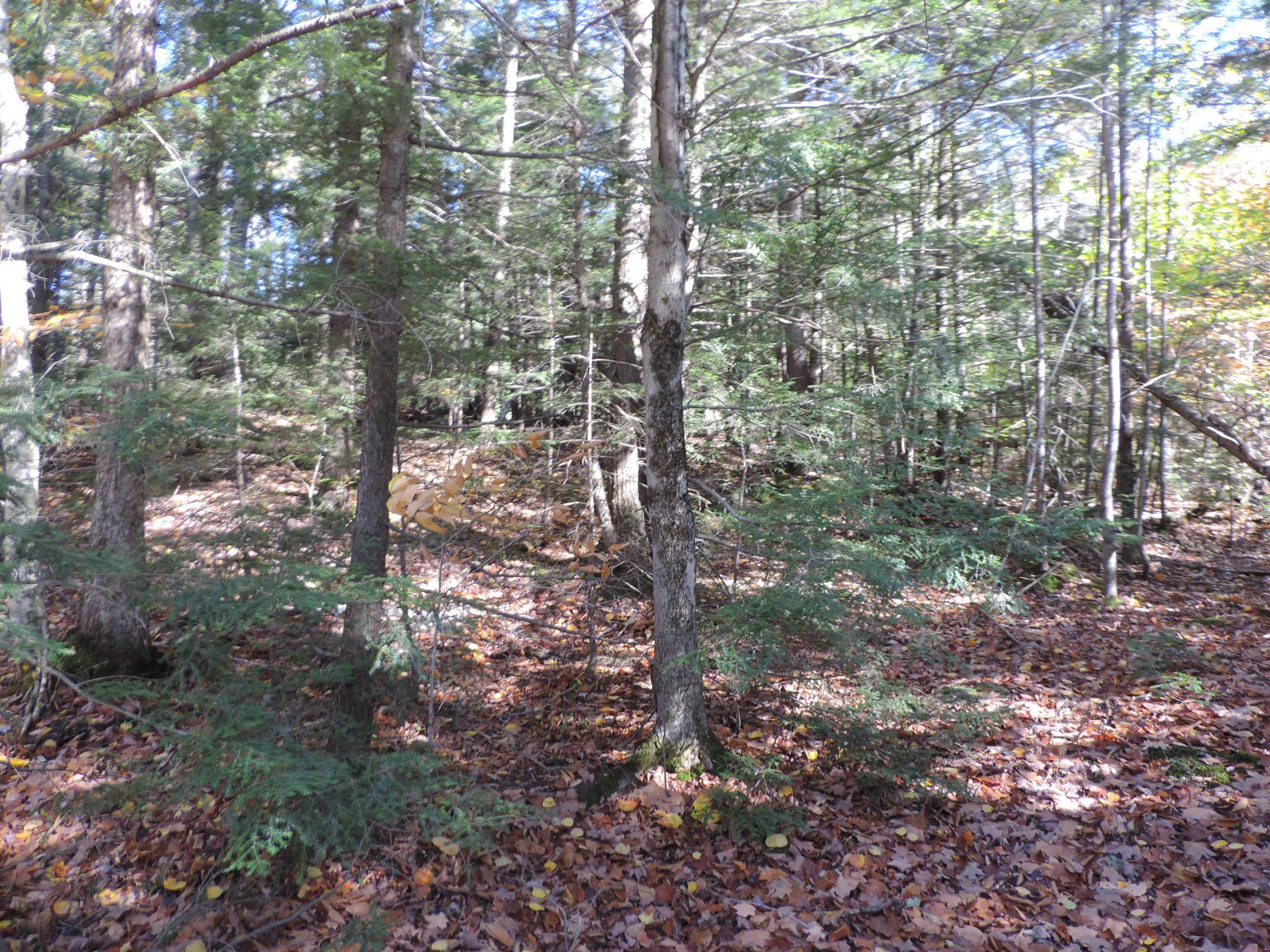0 Cross Road, Unit 9 Jay, VT 05859 - Photo 7 of 7 Gallery Image 7