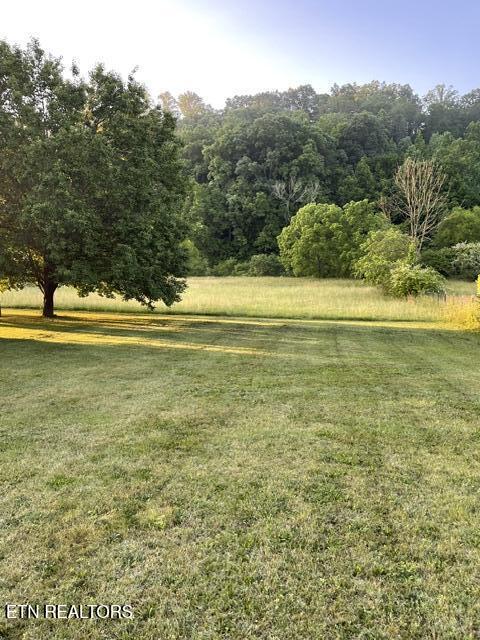 149 Sweetwater Road Philadelphia, TN 37846 - Photo 16 of 25 IMG_2076
