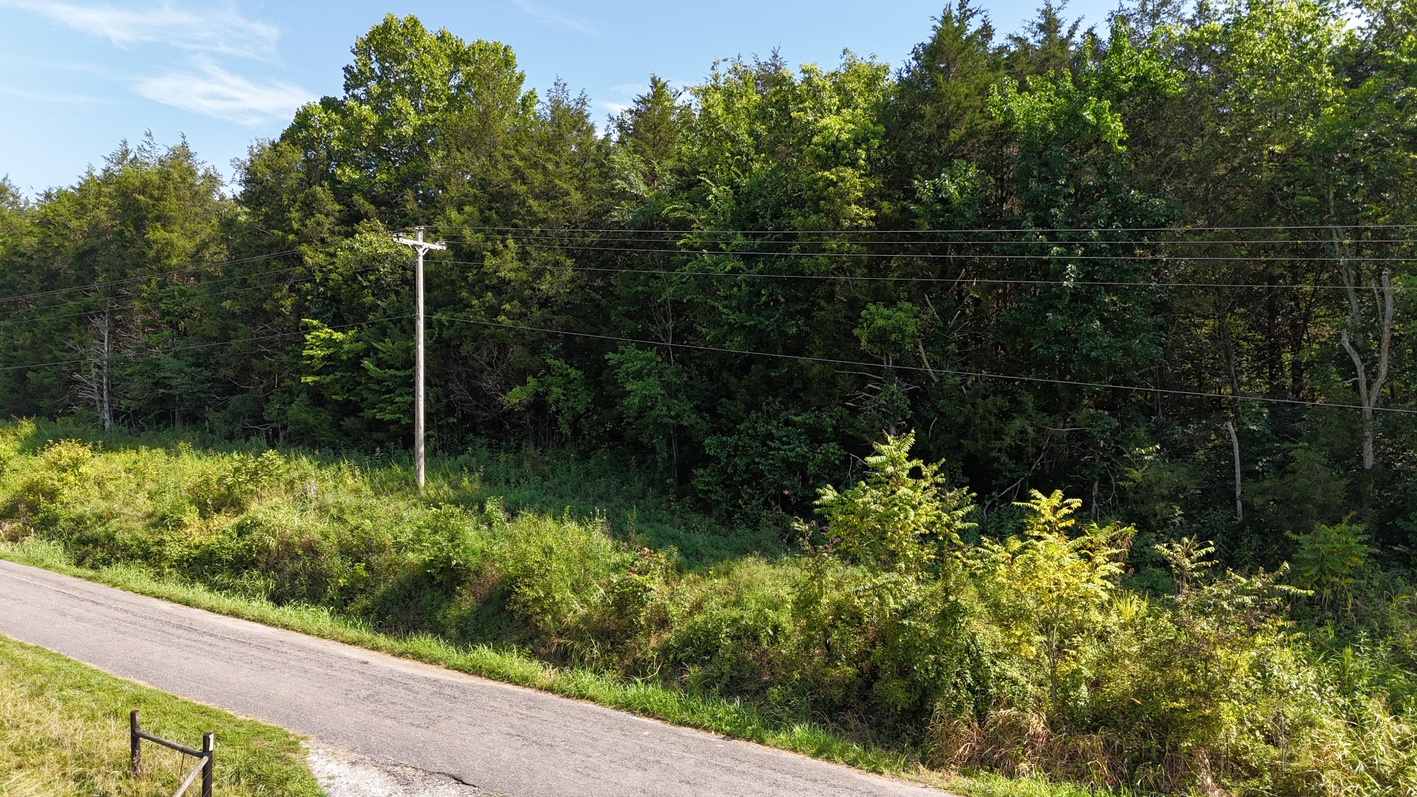 0 Green Hill Road Pleasant Shade, TN 37145 - Photo 11 of 13 a view of a garden