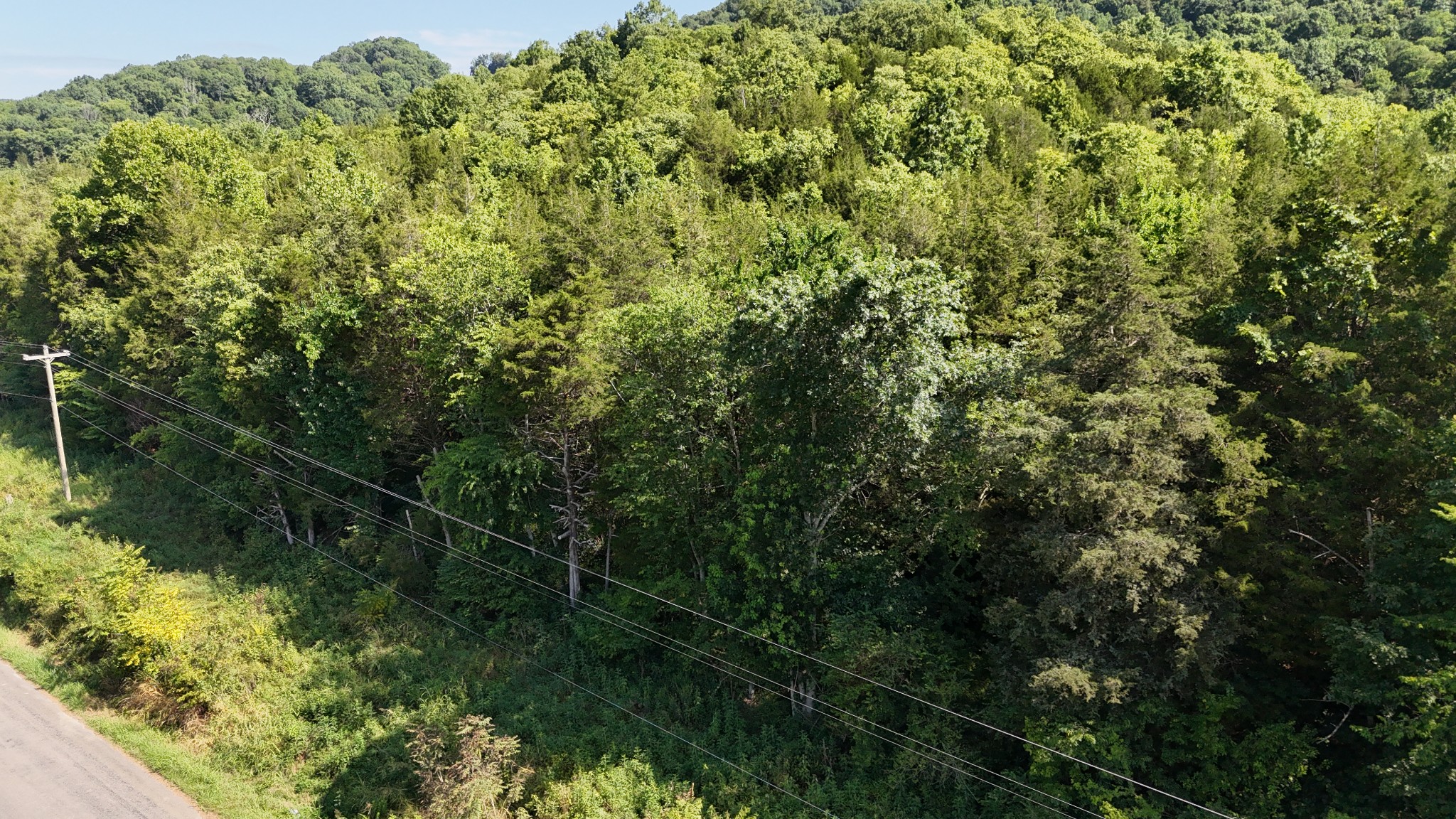 0 Green Hill Road Pleasant Shade, TN 37145 - Photo 13 of 13 a view of a forest with a tree