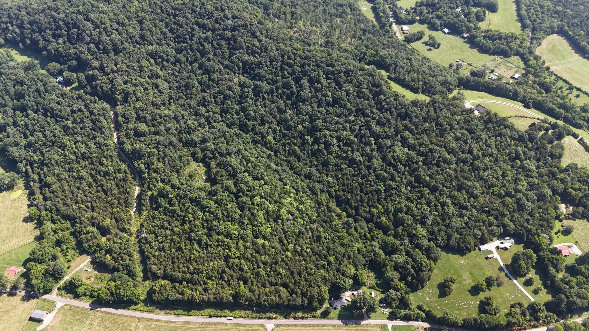 0 Green Hill Road Pleasant Shade, TN 37145 - Photo 2 of 13 a view of a yard with plants