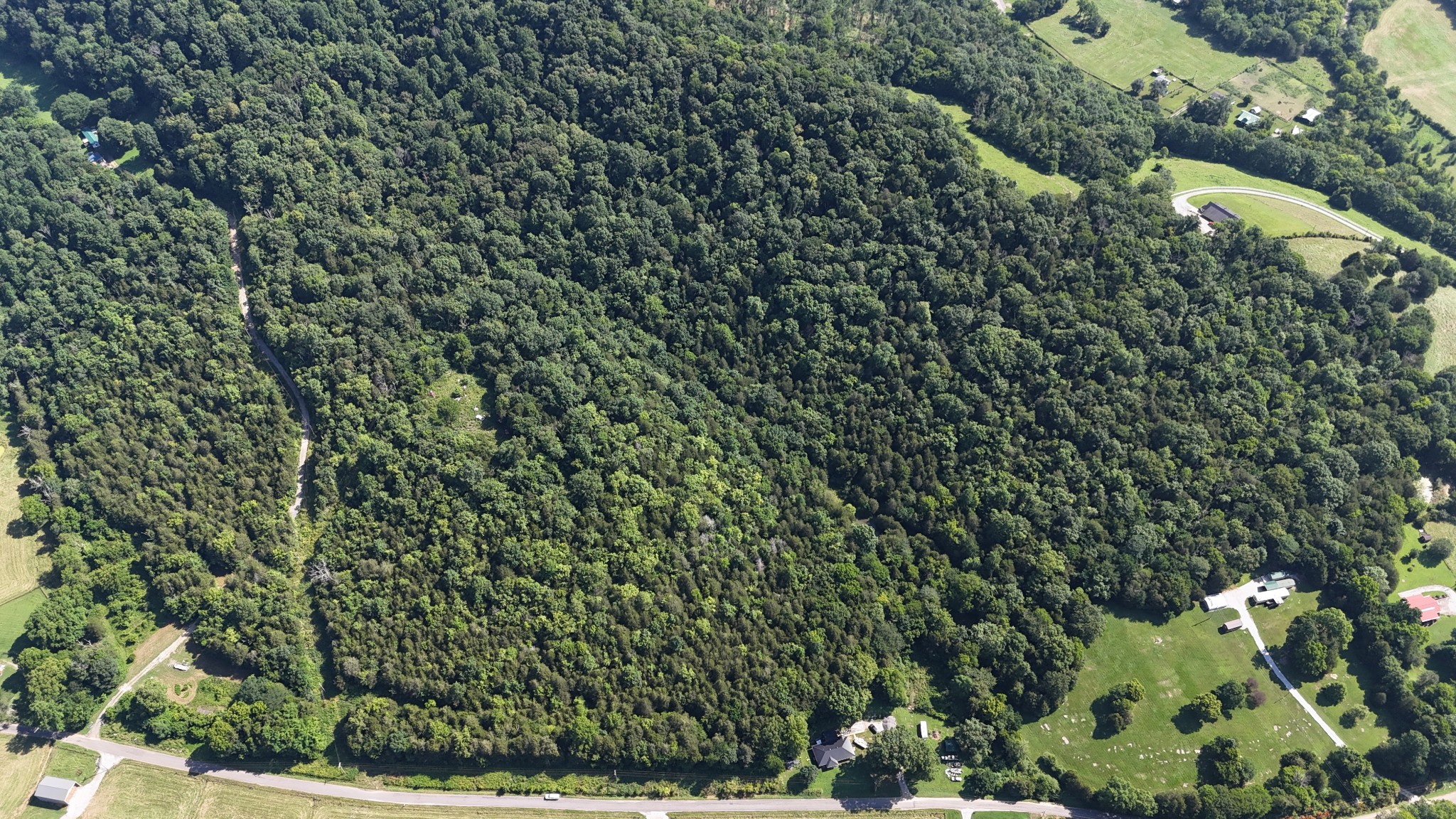 0 Green Hill Road Pleasant Shade, TN 37145 - Photo 7 of 13 a view of a plant with a plant