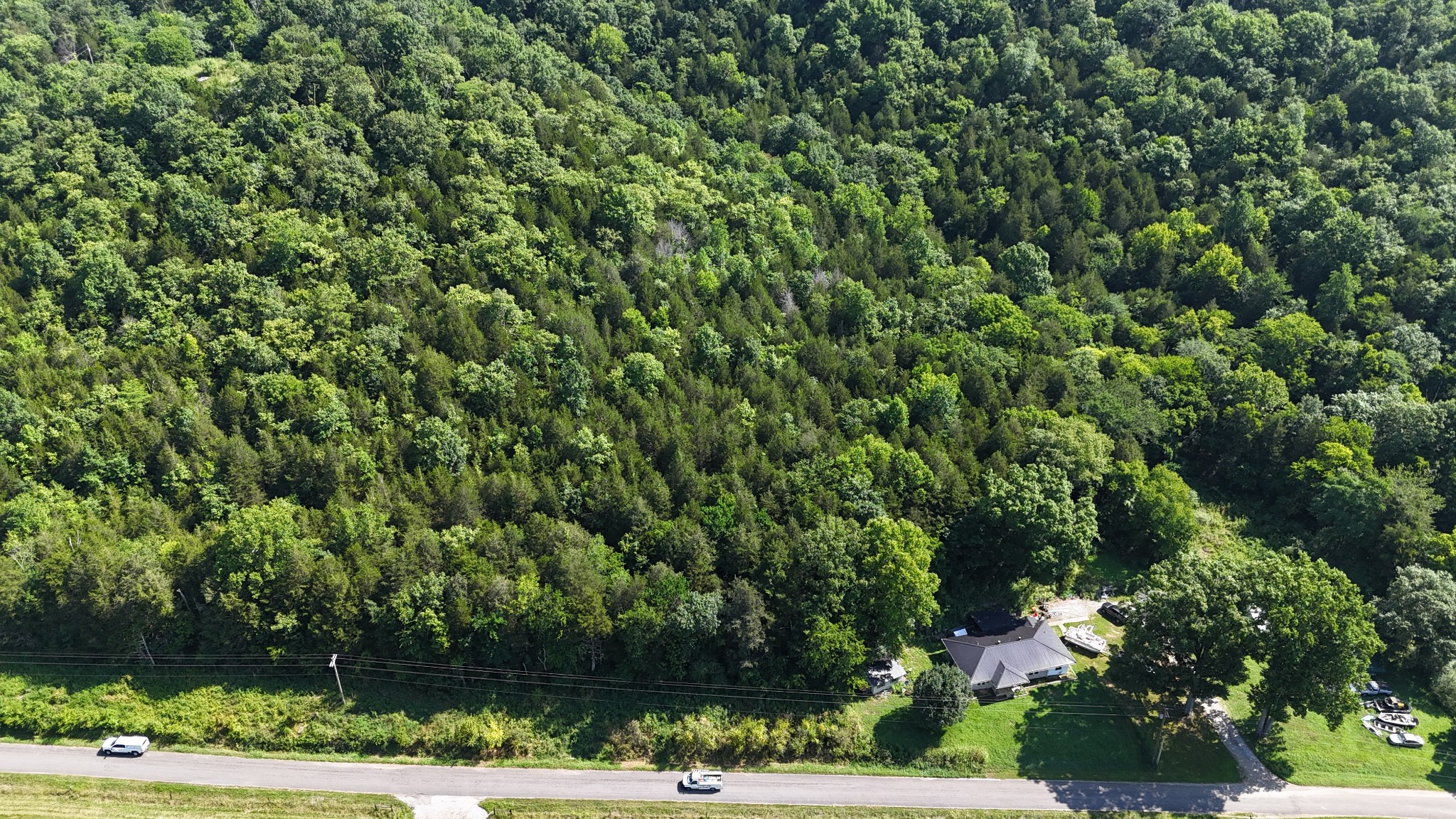 0 Green Hill Road Pleasant Shade, TN 37145 - Photo 8 of 13 a view of a yard