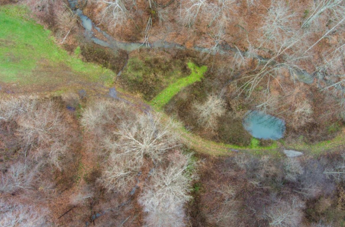 0 Sugar Tree Branch Road Wallingford, KY 41093 - Photo 10 of 14 Gallery Image 10