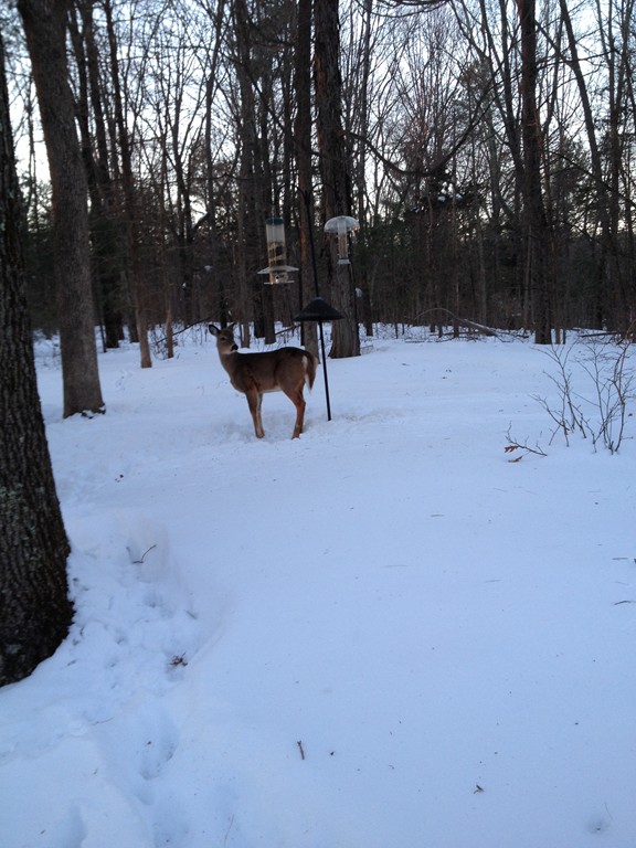 531 Edmands Road Framingham, MA 01701 - Photo 22 of 22