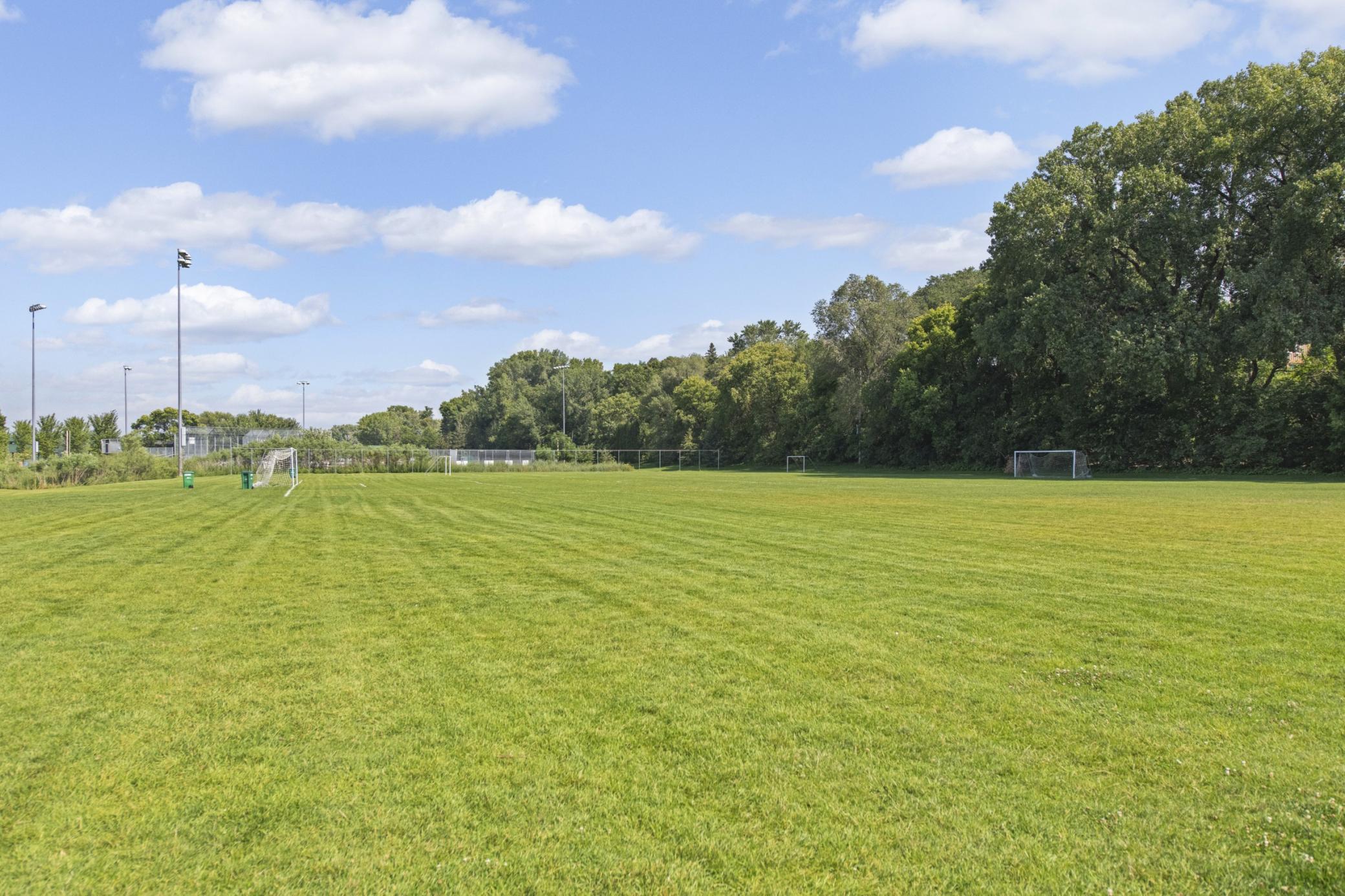 3744 Perry Avenue North Robbinsdale, MN 55422 - Photo 46 of 54