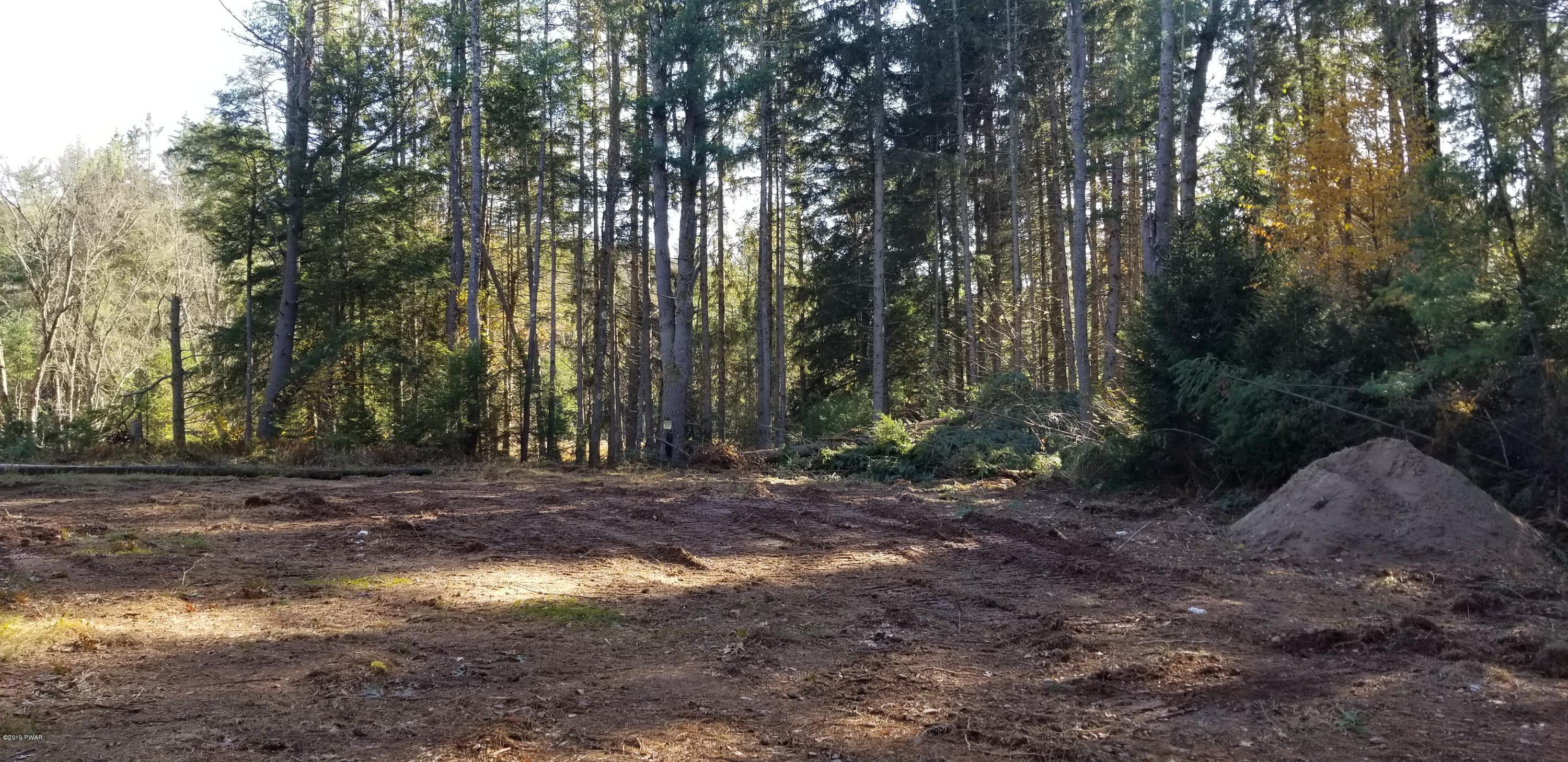 Lot #22 Swamp Pond Road Narrowsburg, NY 12764 - Photo 4 of 36