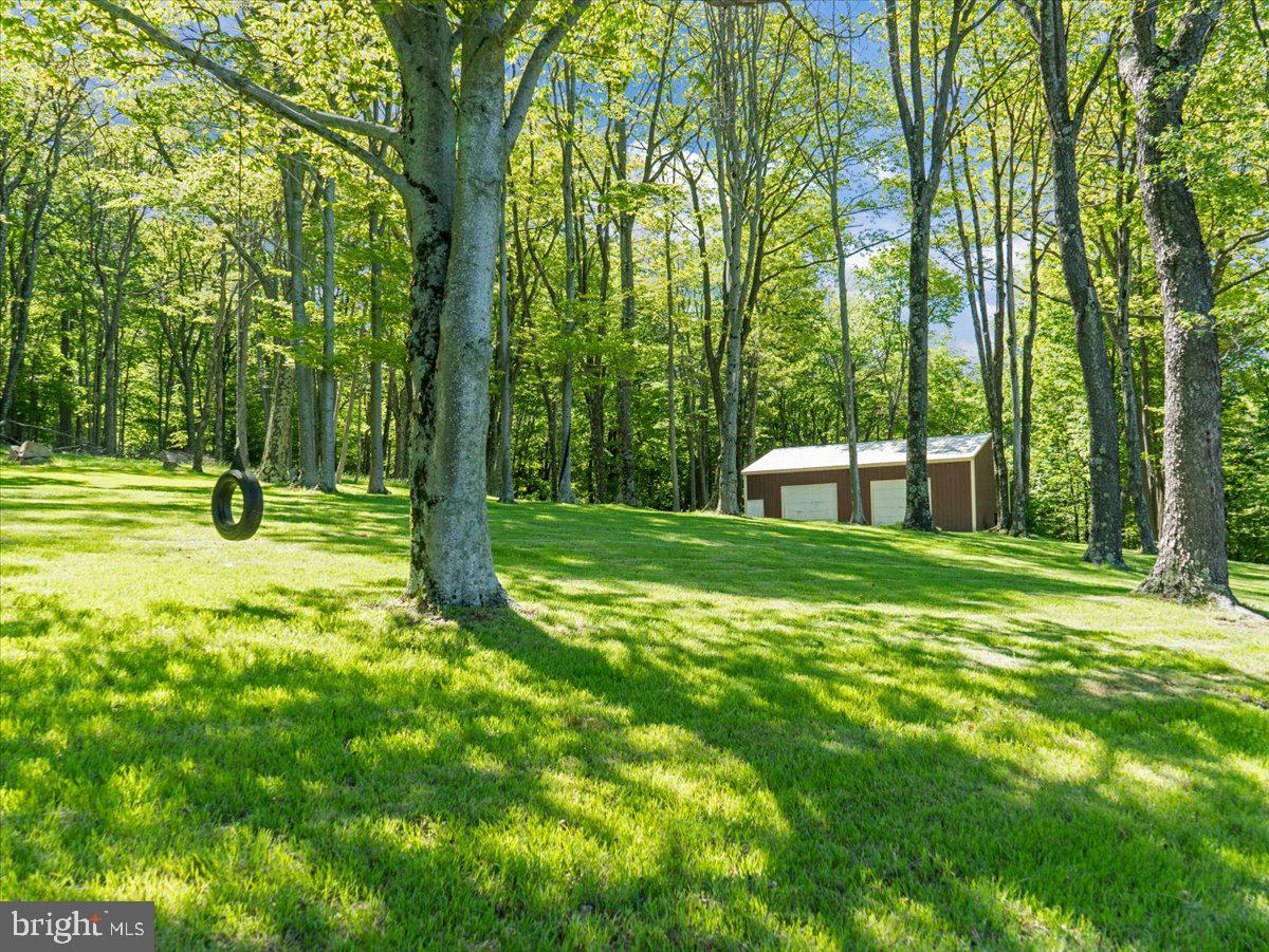 663 Bear Woods Road Mount Storm, WV 26739 - Photo 60 of 73 Serene woodland retreat with shed.