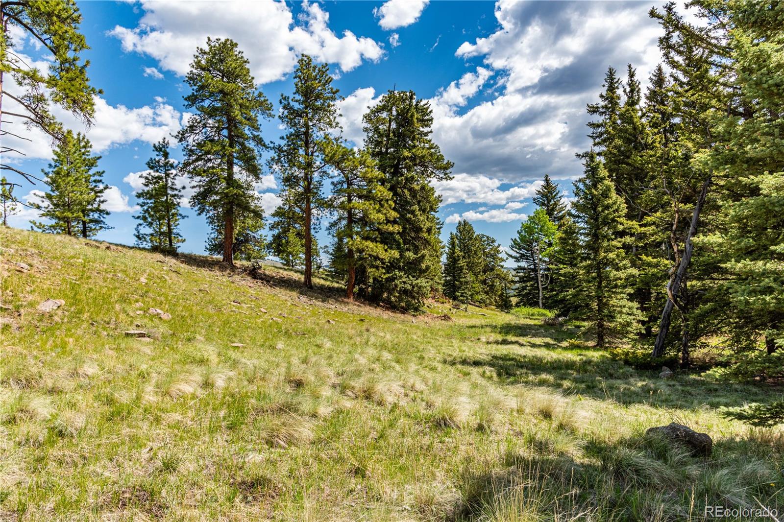 298 Steven Road Canon City, CO 81212 - Photo 6 of 35