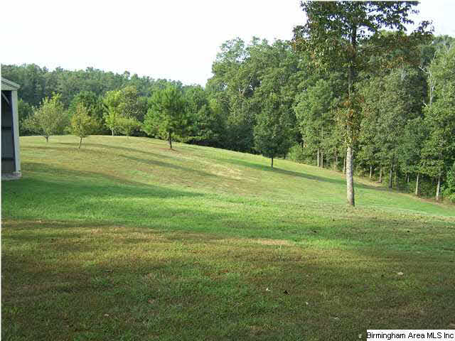 48588 Highway 231 Oneonta, AL 35121 - Photo 16 of 28