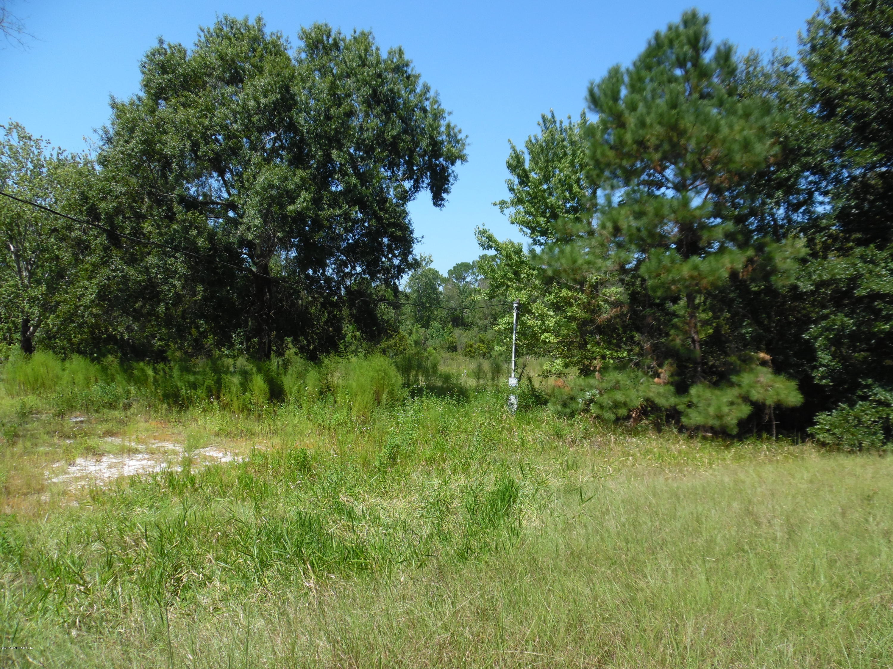 2065 Gentlebreeze Road Middleburg, FL 32068 - Photo 1 of 5 SAM_2294 (1)