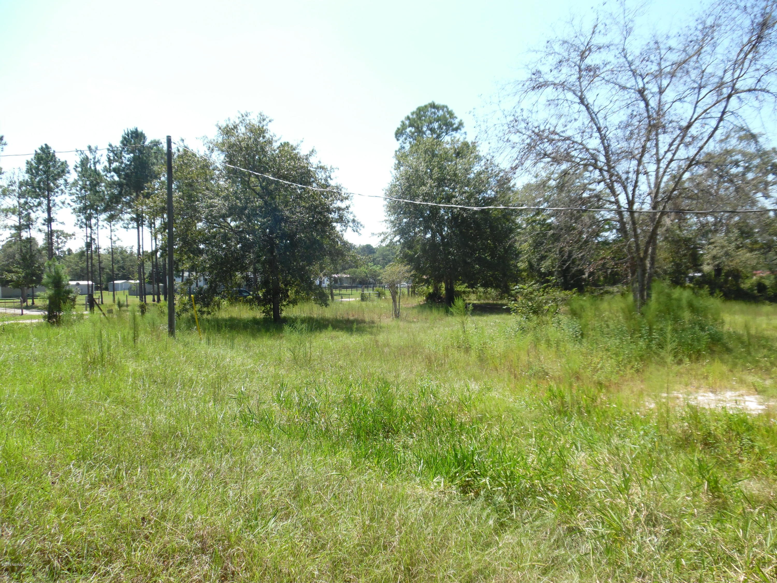 2065 Gentlebreeze Road Middleburg, FL 32068 - Photo 5 of 5 SAM_2297 (1)