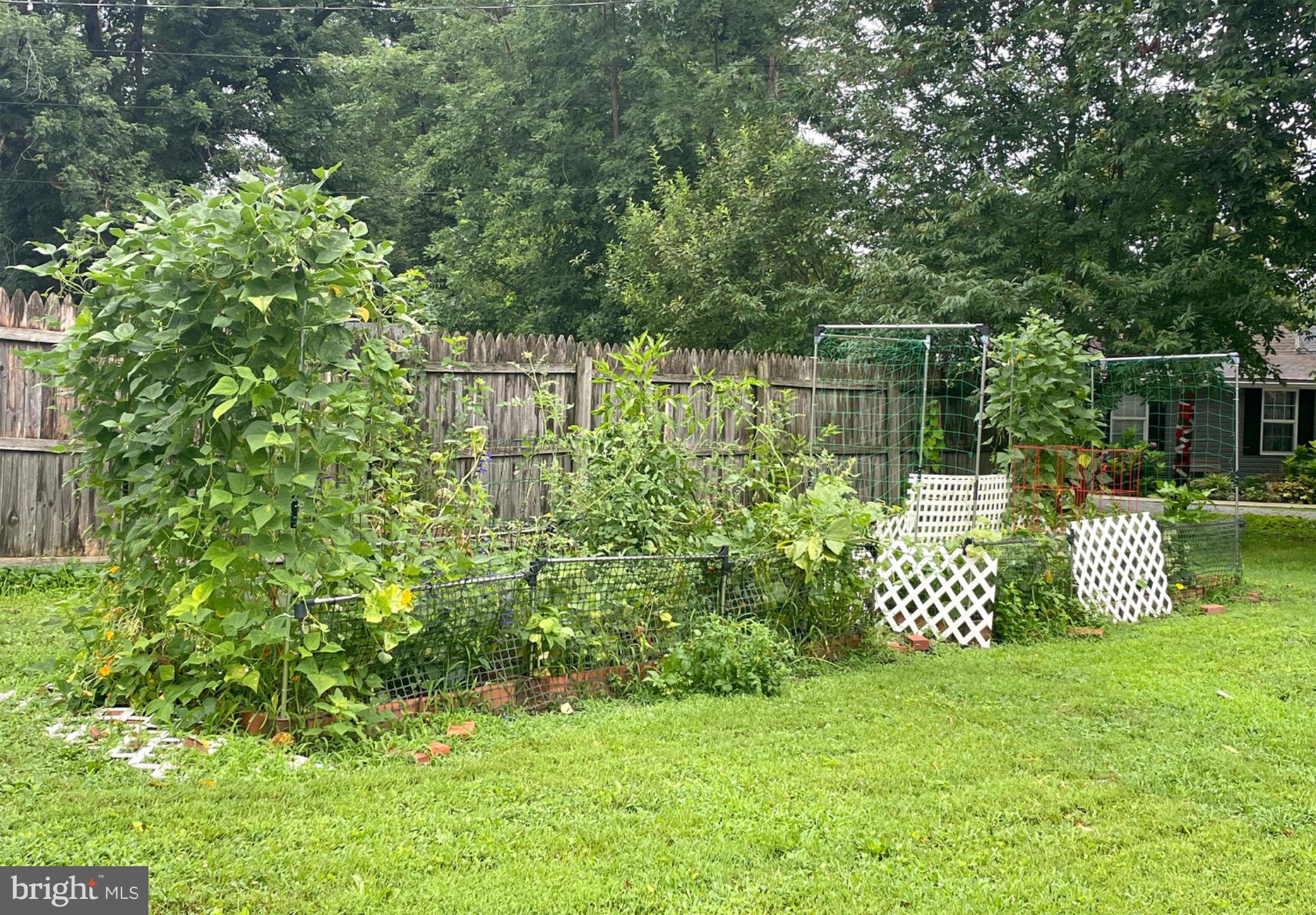 245 Maple Street Oxford, PA 19363 - Photo 23 of 23 a garden view
