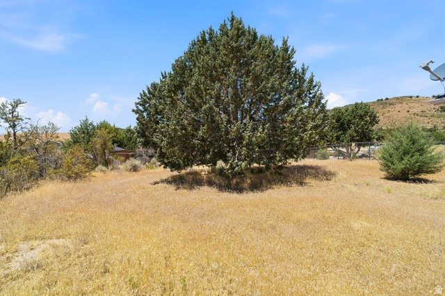 132 Rex Layne Drive Central, UT 84722 - Photo 28 of 39 Expansive open lot featuring mature trees and natural vegetation
