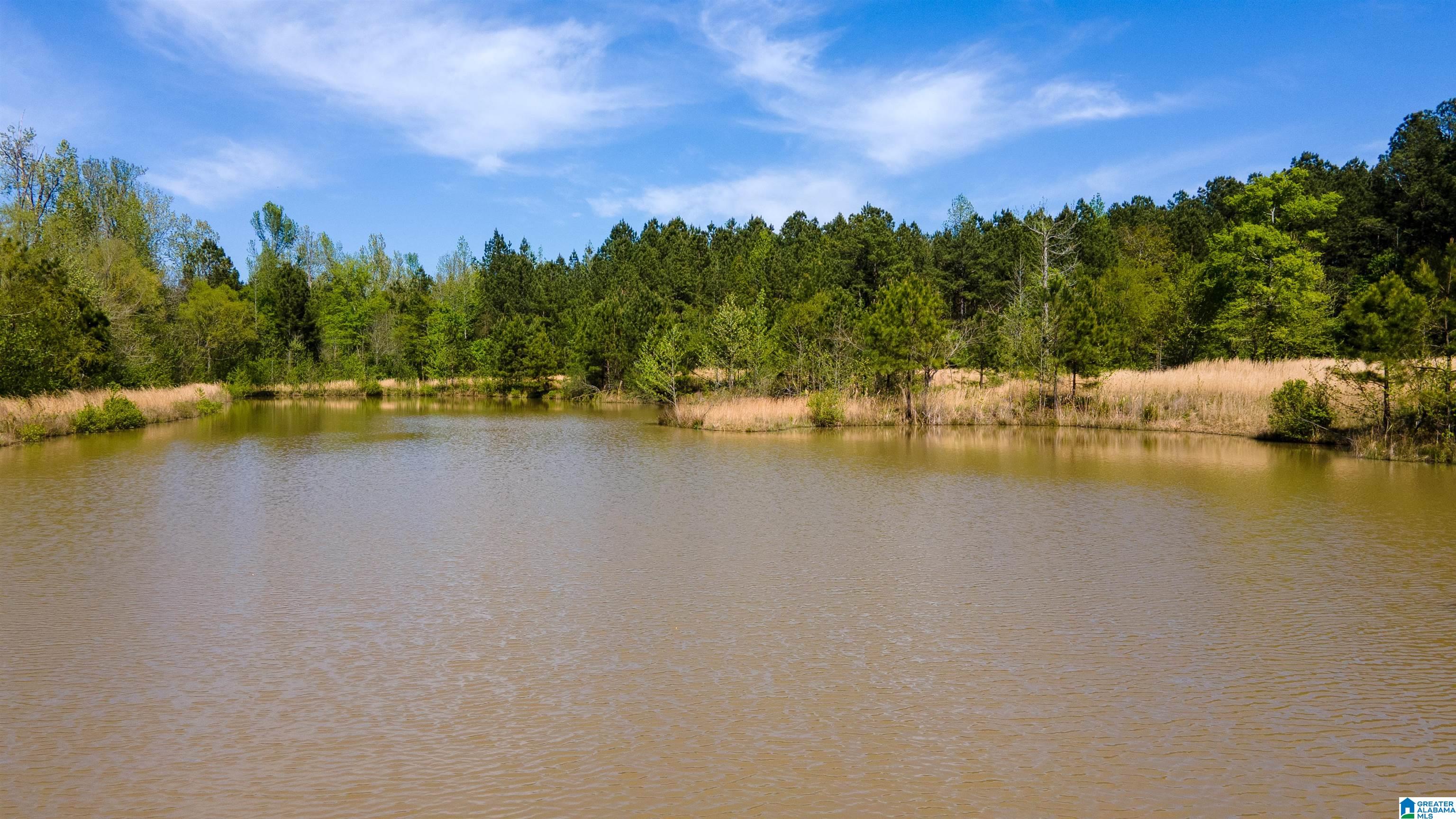 3554 Possum Trot Road Piedmont, AL 36272 - Photo 4 of 18