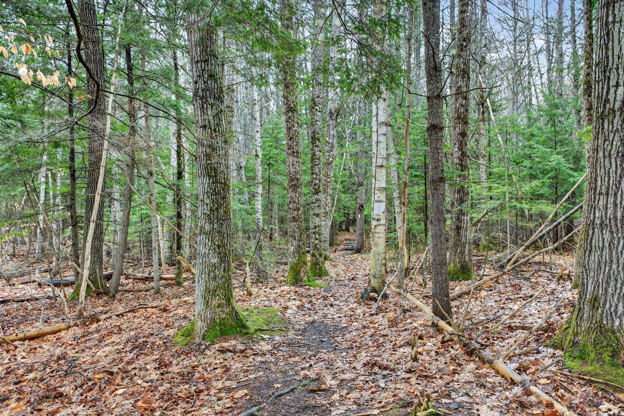 10 Newfield Road Freeport, ME 04032 - Photo 39 of 49 11_DSC02900