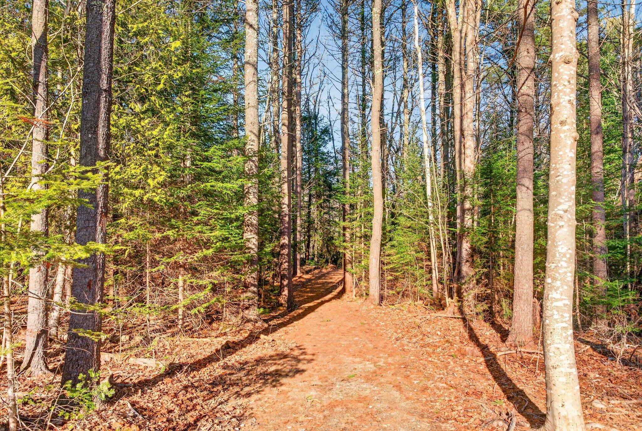 10 Newfield Road Freeport, ME 04032 - Photo 41 of 49 DSC09999