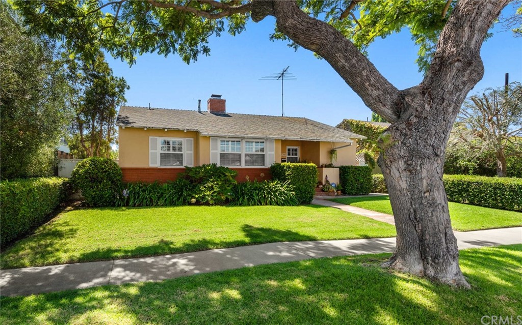 a view of a house with a yard table and a large tree