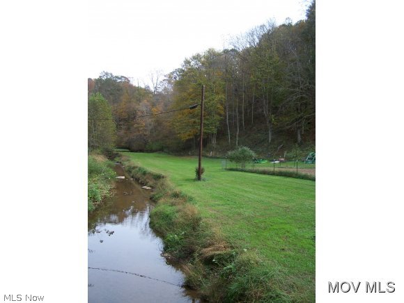 141 Canoe Run Road Looneyville, WV 25259 - Photo 13 of 18 stream and bottomland