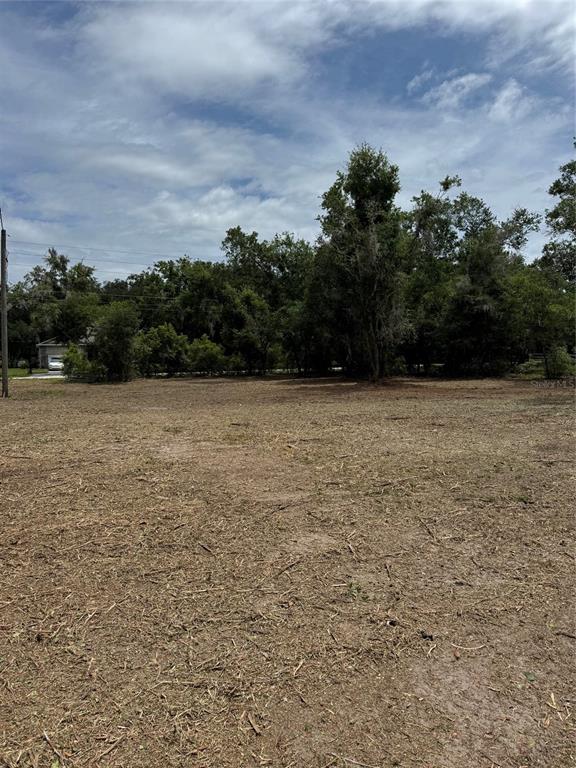 3101 Bruton Road Plant City, FL 33565 - Photo 2 of 13
