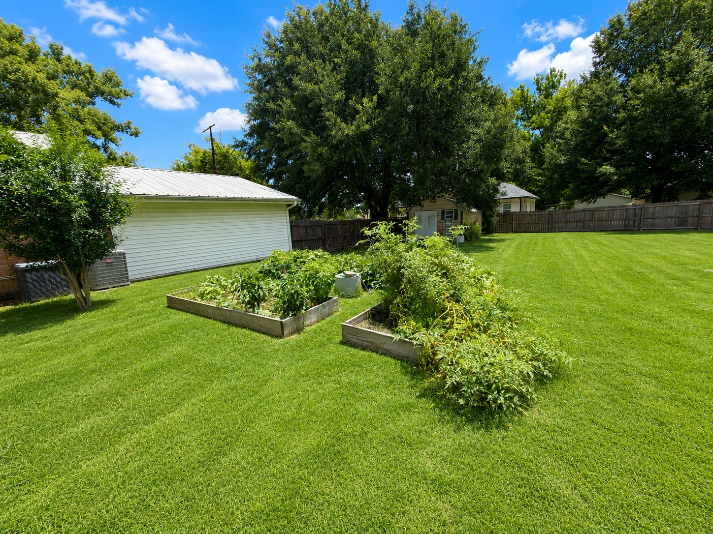 416 Division Street Jewett, TX 75846 - Photo 27 of 38 a garden with trees in front of it