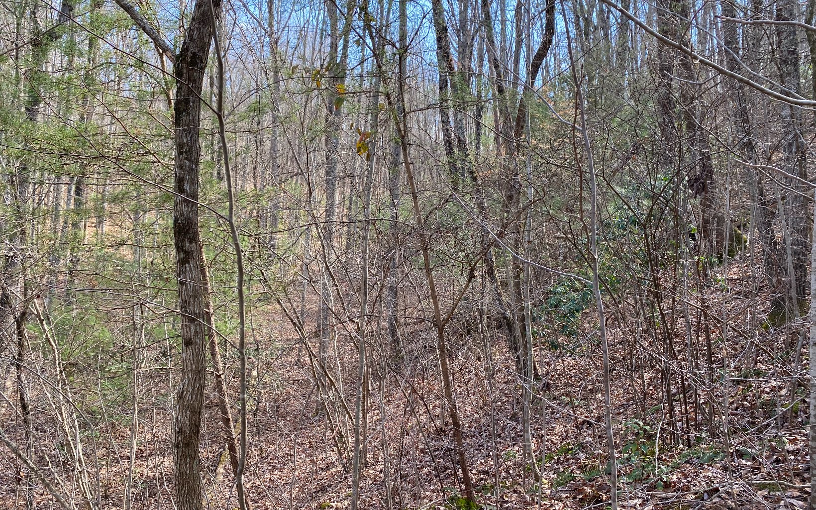 Lot3 Cohutta Overlook Drive Blue Ridge, GA 30513 - Photo 4 of 6 Additional View