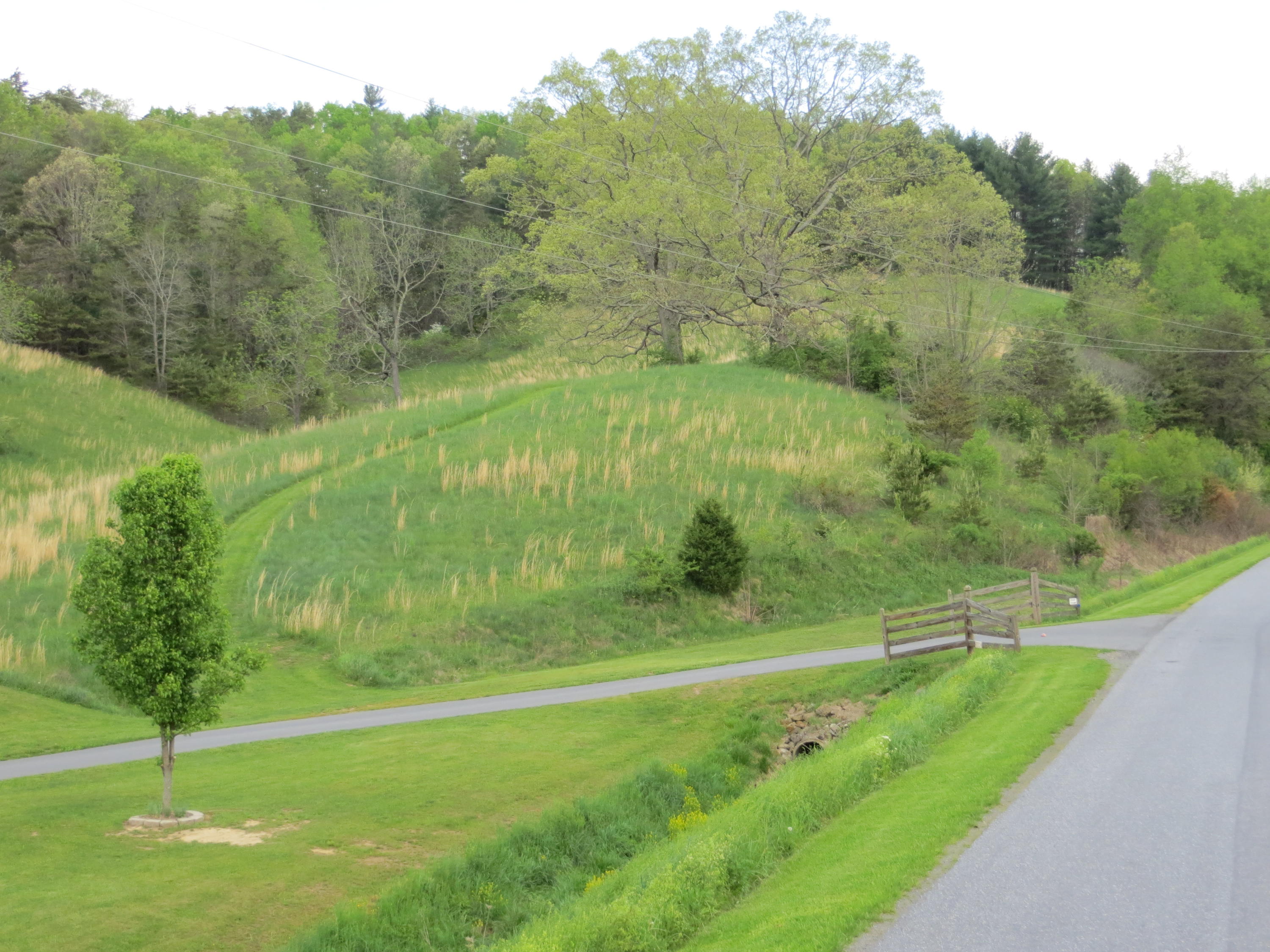 0 West Morris Hill Road Covington, VA 24426 - Photo 1 of 19 IMG_7286