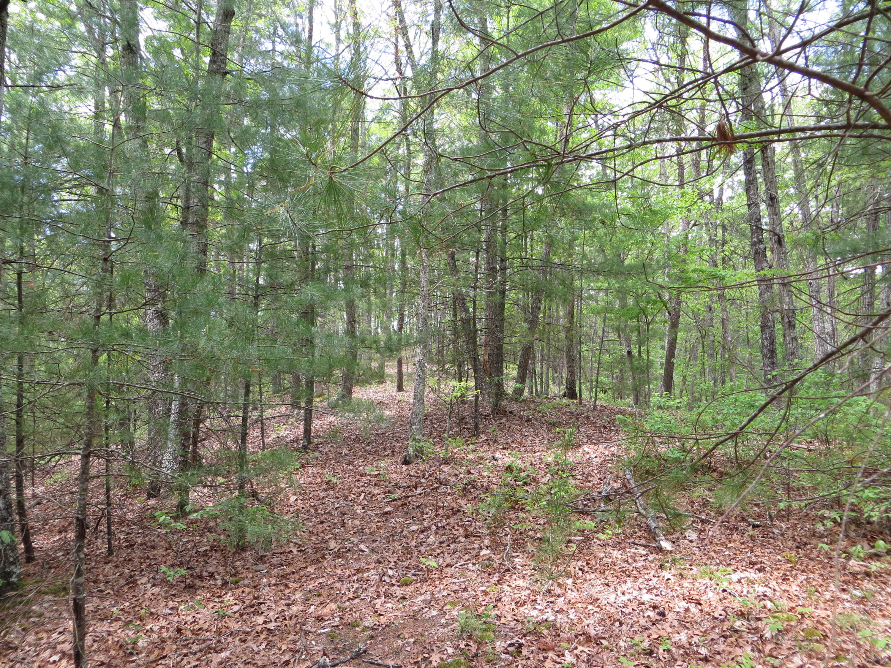 0 West Morris Hill Road Covington, VA 24426 - Photo 12 of 19 IMG_7313