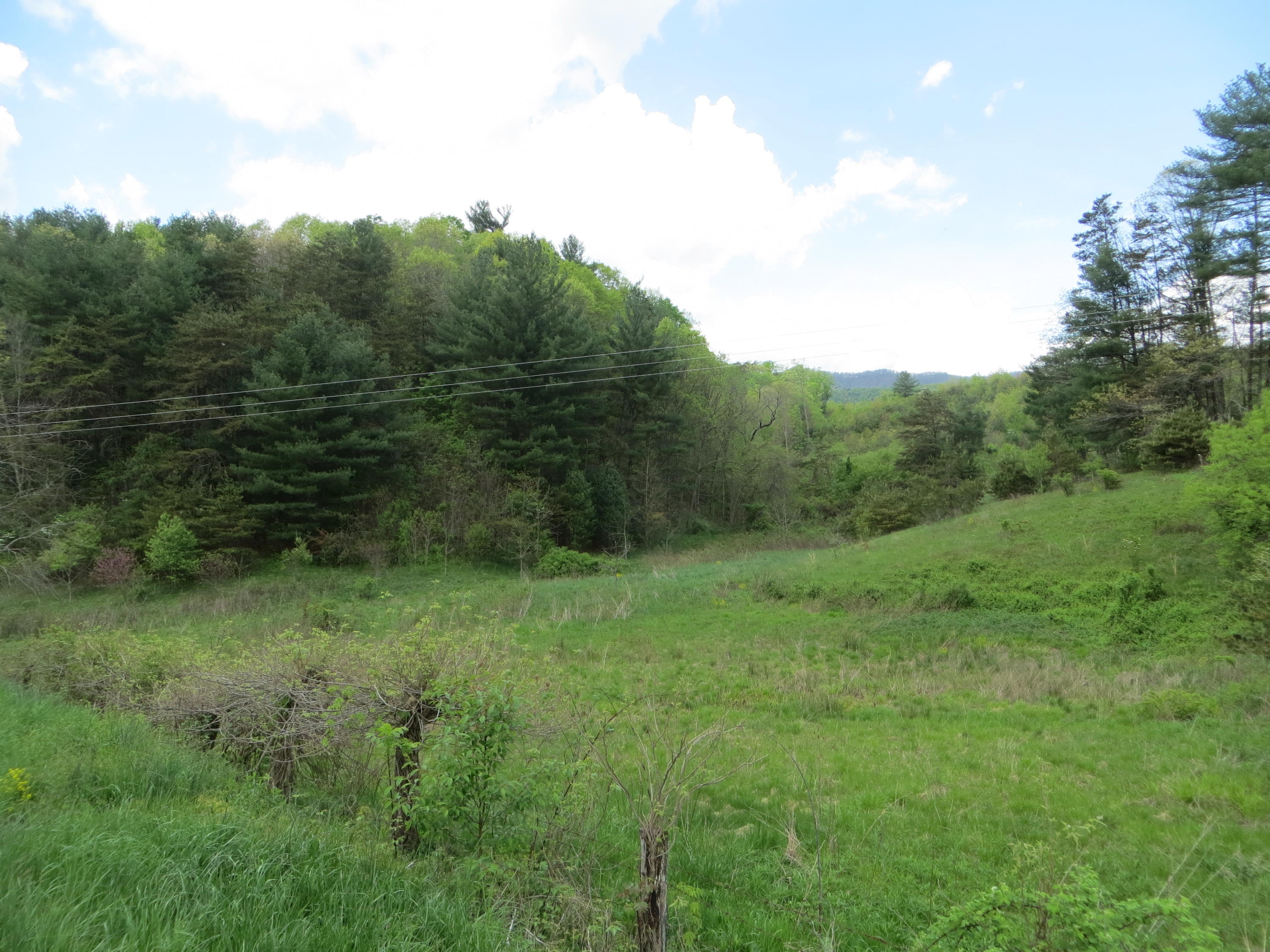 0 West Morris Hill Road Covington, VA 24426 - Photo 13 of 19 IMG_7292