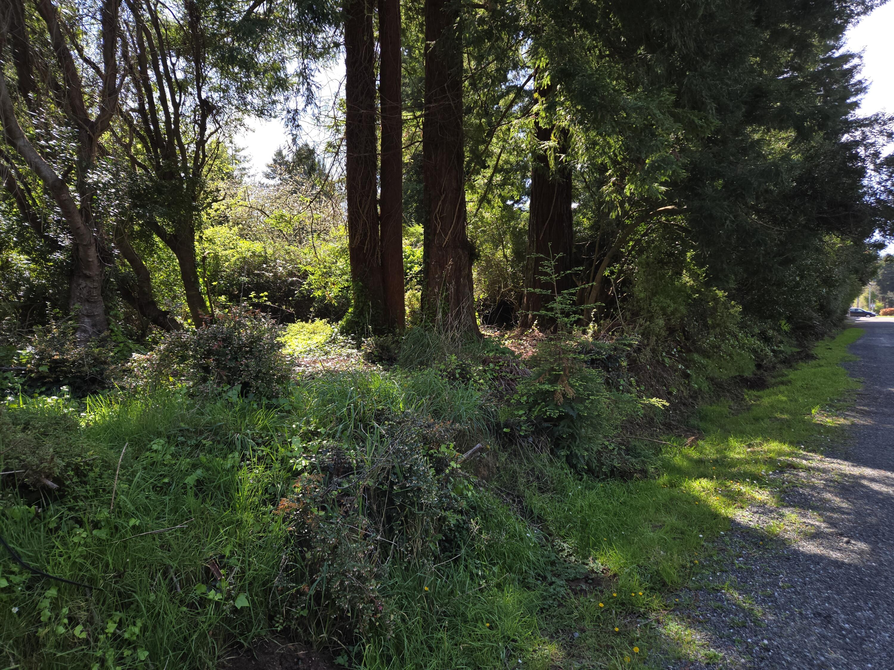 4581 Campton Road Eureka, CA 95503 - Photo 2 of 7