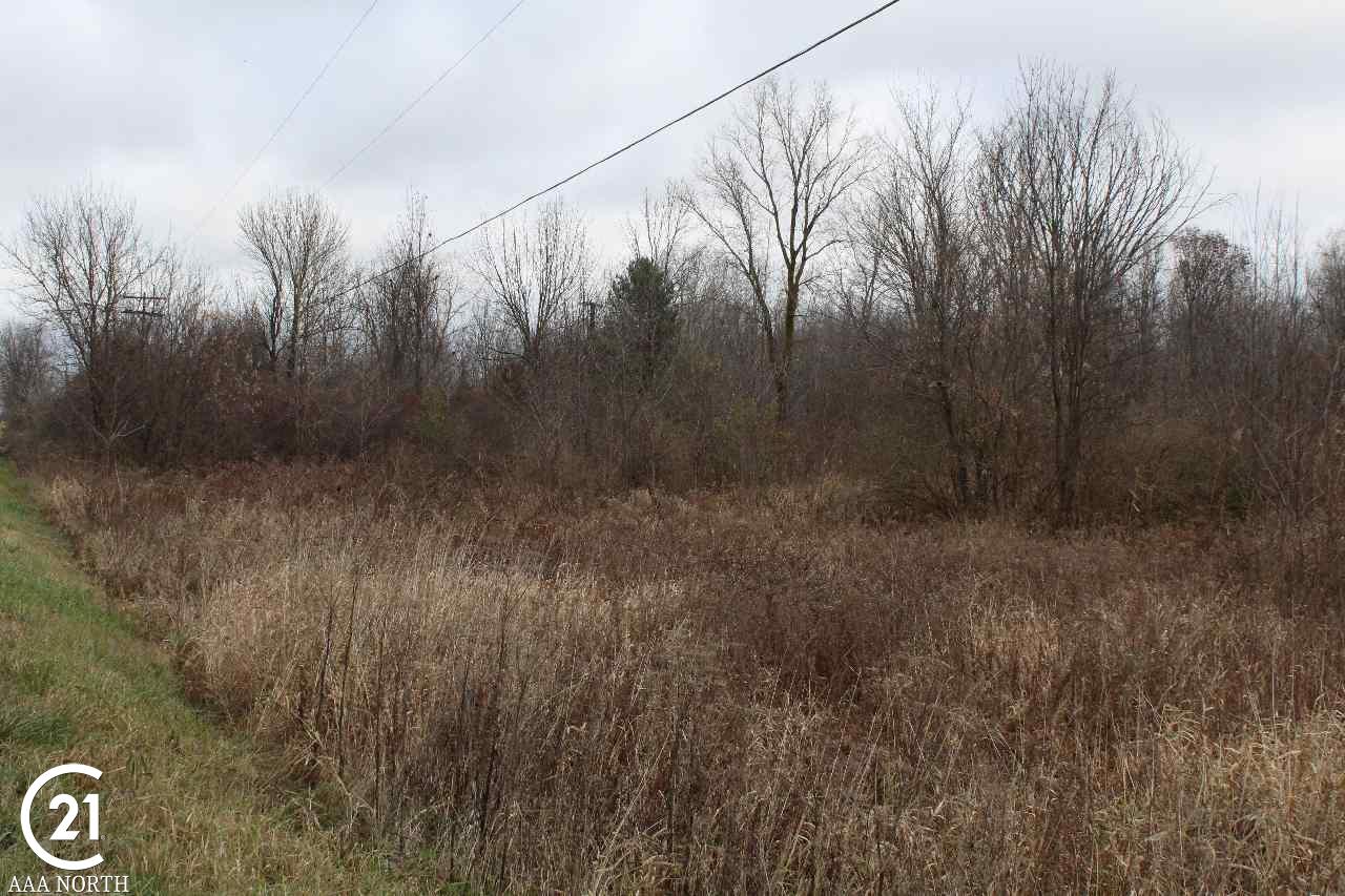 0 South Lake George Road Attica, MI 48412 - Photo 5 of 9