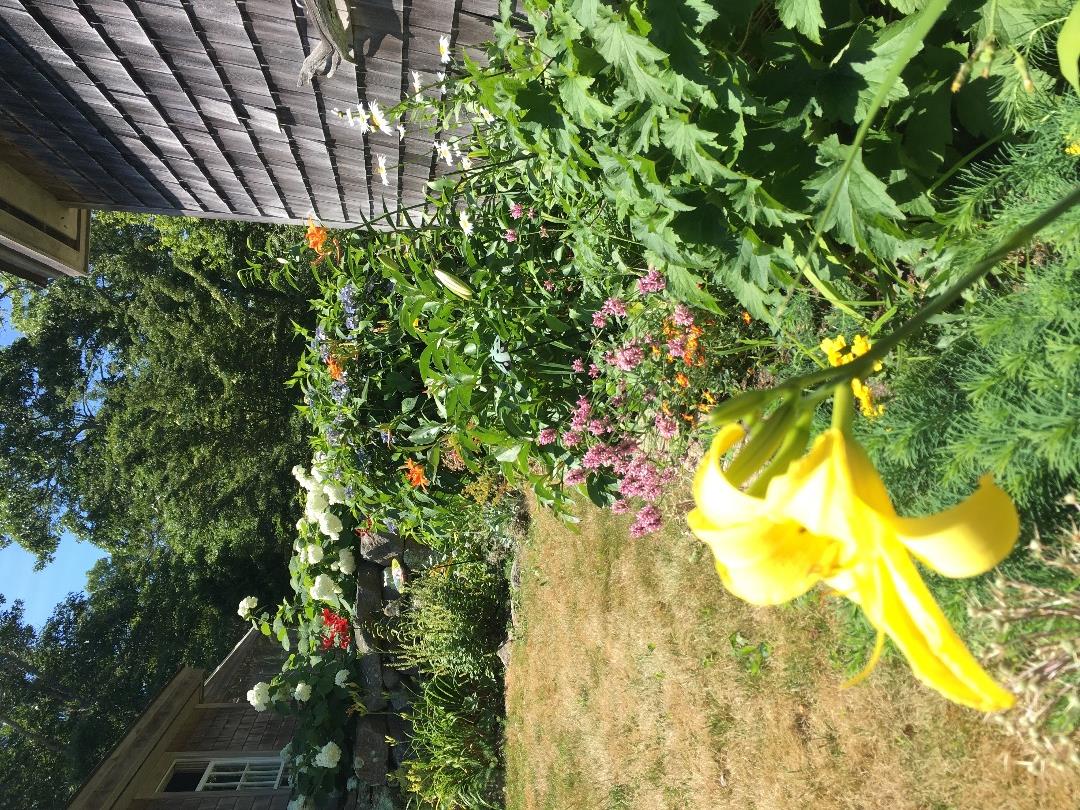 300 N Road Chilmark, MA 02535 - Photo 24 of 69