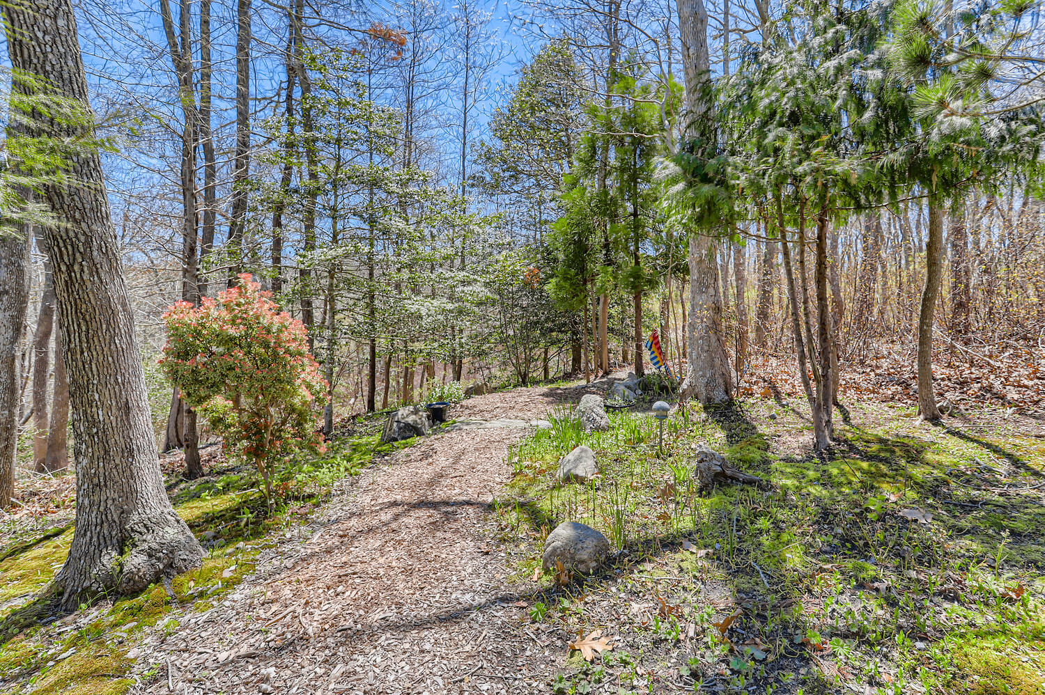 300 N Road Chilmark, MA 02535 - Photo 66 of 69 a plant that is in front of a brick building