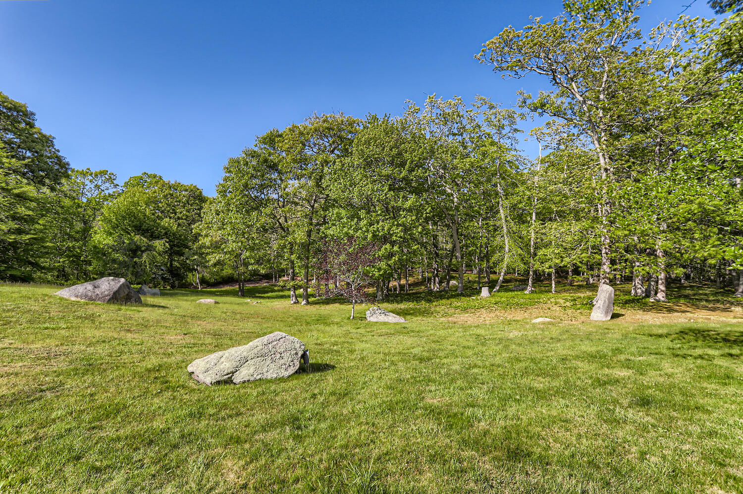 300 N Road Chilmark, MA 02535 - Photo 67 of 69 a view of a field with a tree
